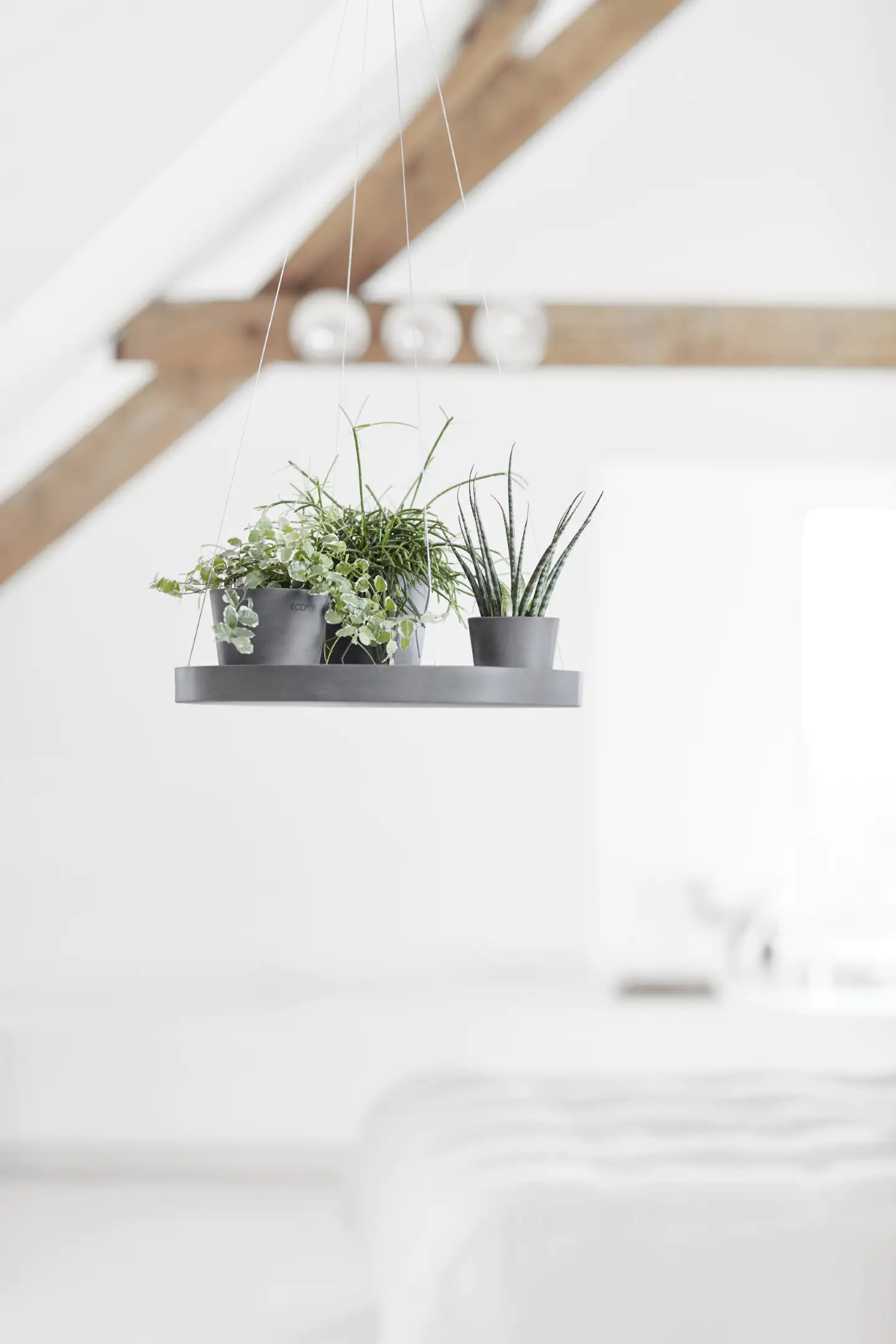 Ecopots Untersetzer hängend grau Ø 36 cm