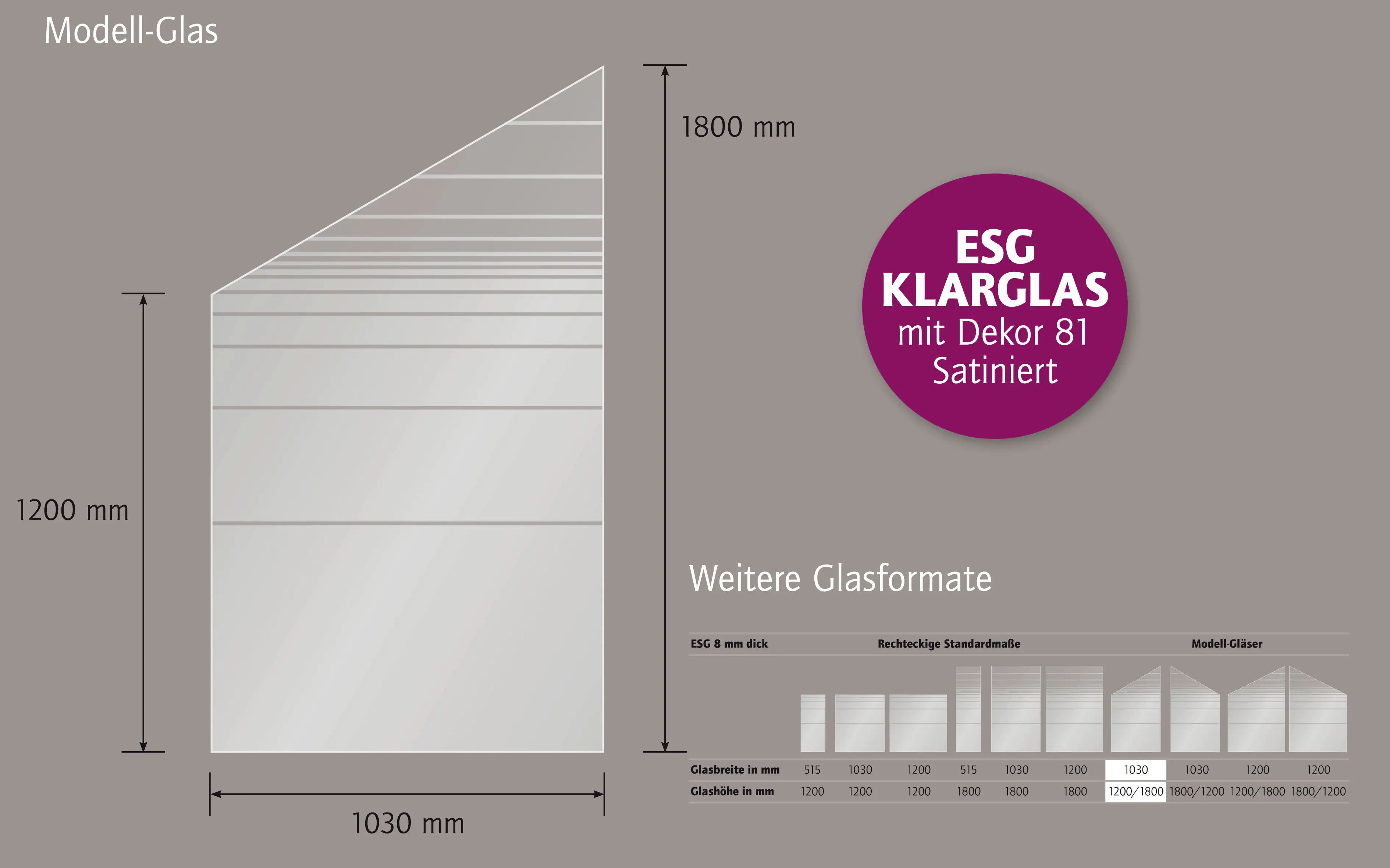 Ambiente Glaszaun Dekor 81 schräg 103 x 120/180 cm gehärtetes 8 mm Glas