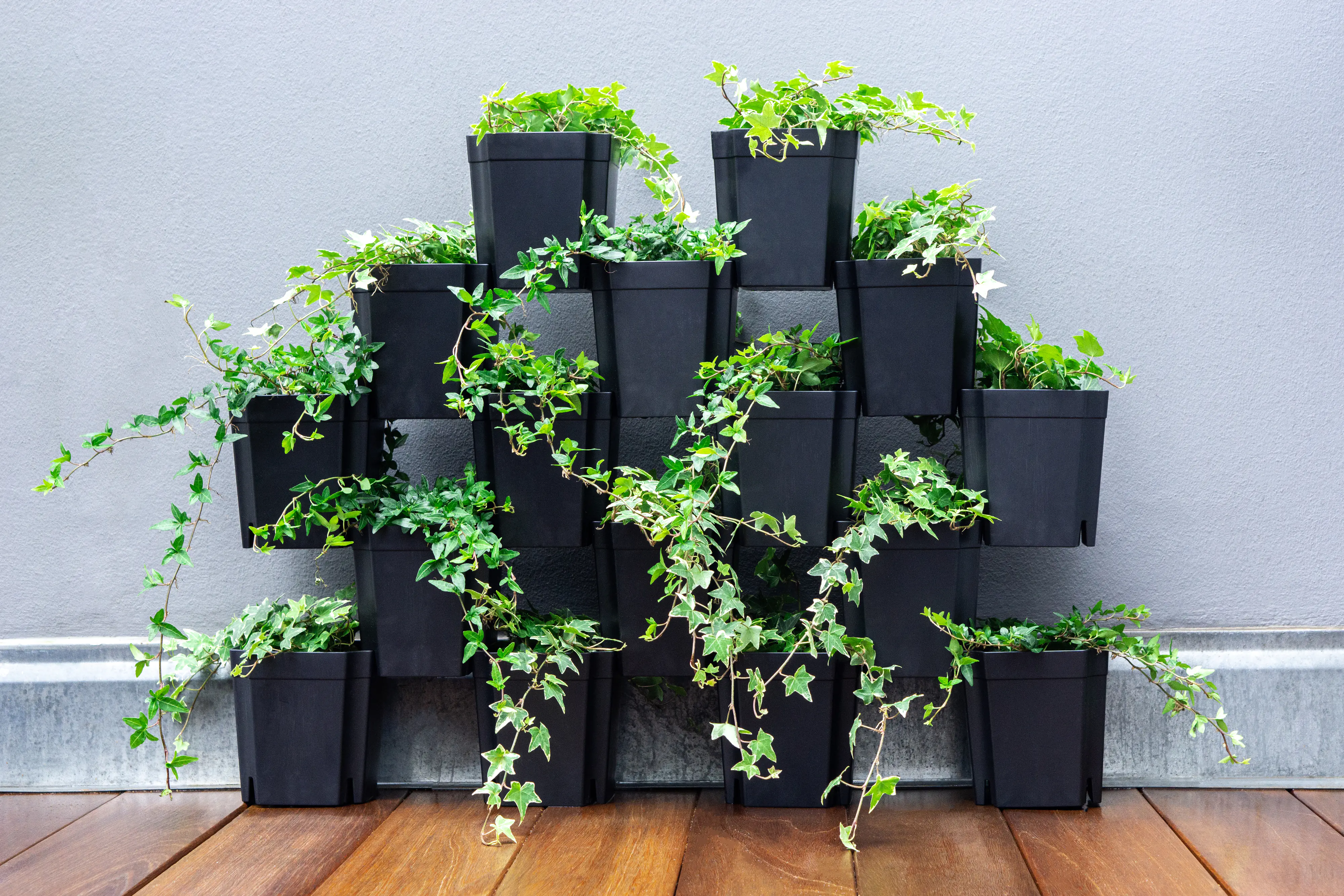 FlexiFlora Pflanztopf Modulares Pflanzsystem 14,5 x 14,5 x 15 cm Kunststoff anthrazit 