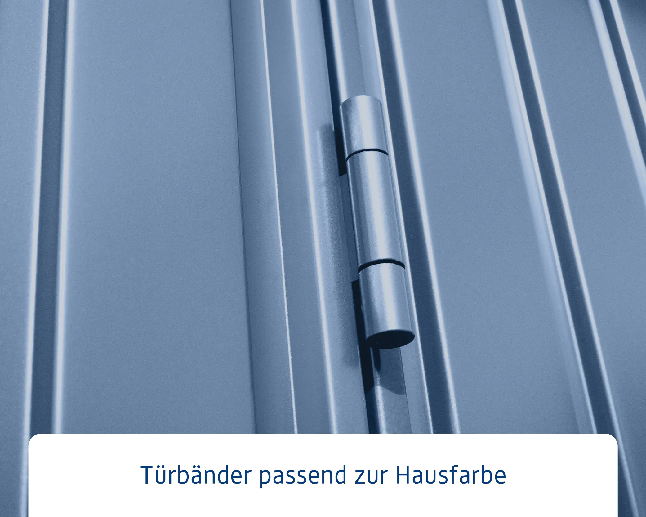 EcoStar Gerätehaus Trend-P Typ 2 taubenblau 247,9 x 283,4 x 232,3 cm