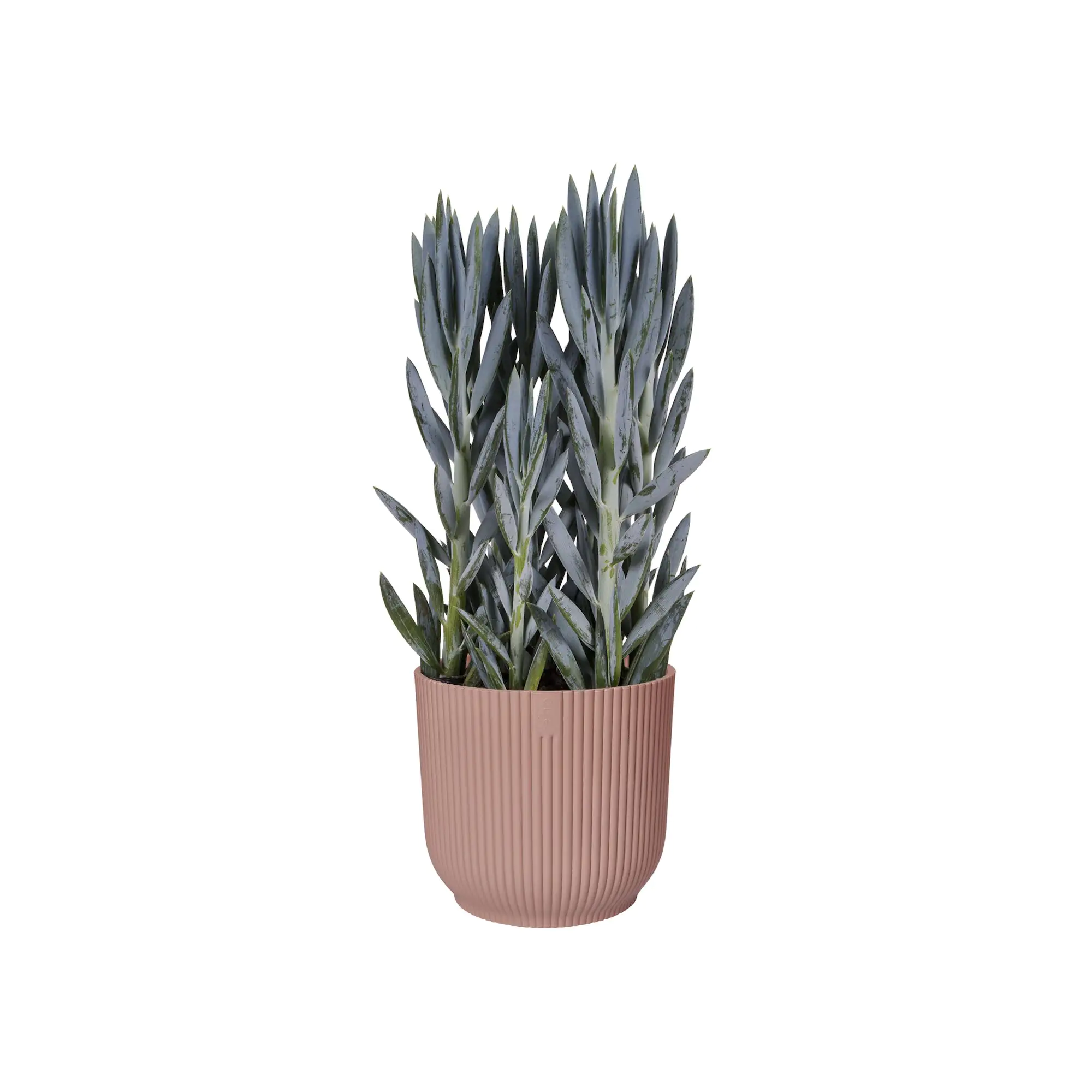 Elho Blumentopf Vibes Fold Ø 14 x 13 cm zartrosa