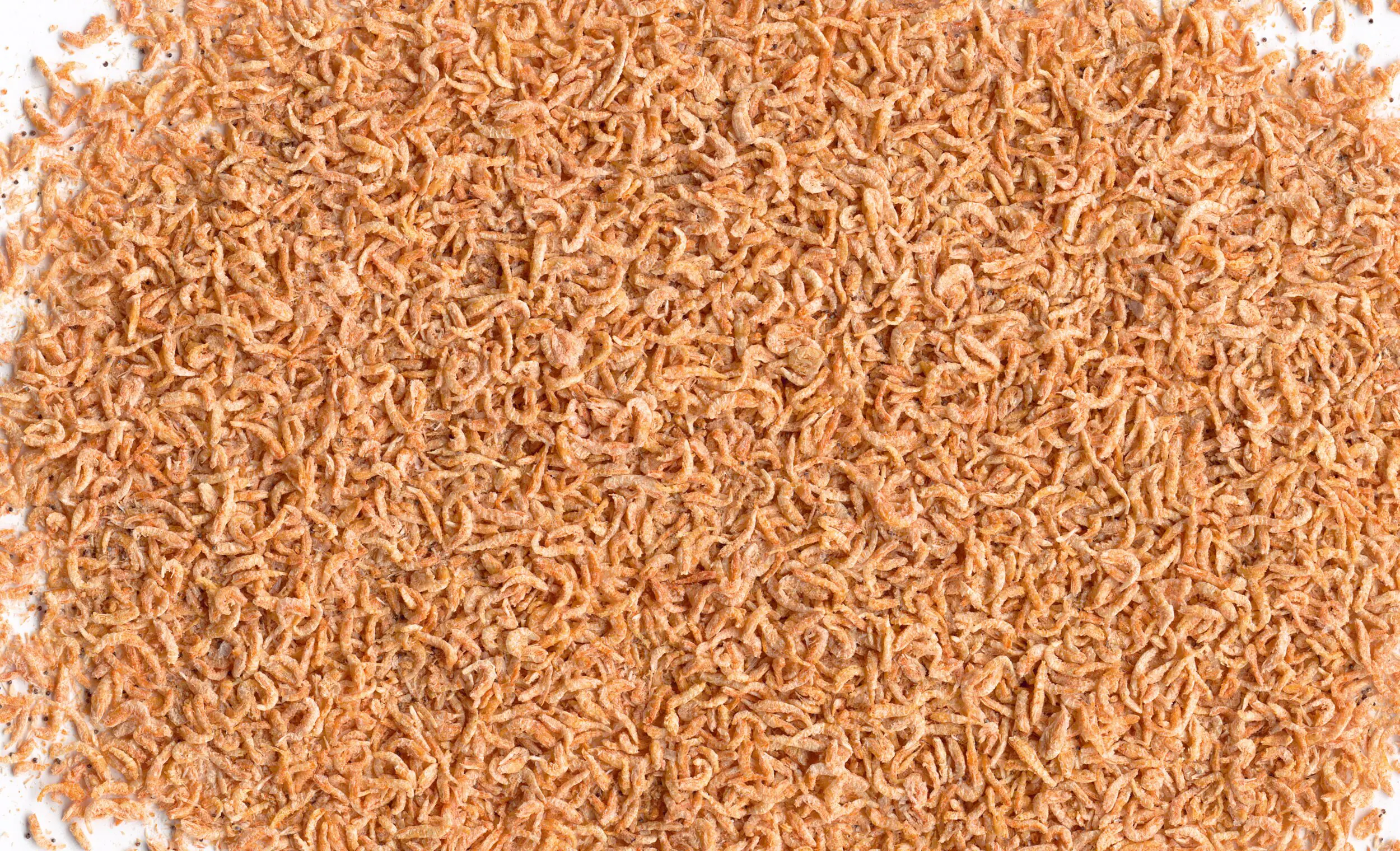 Tetra Delica Krill 100 ml