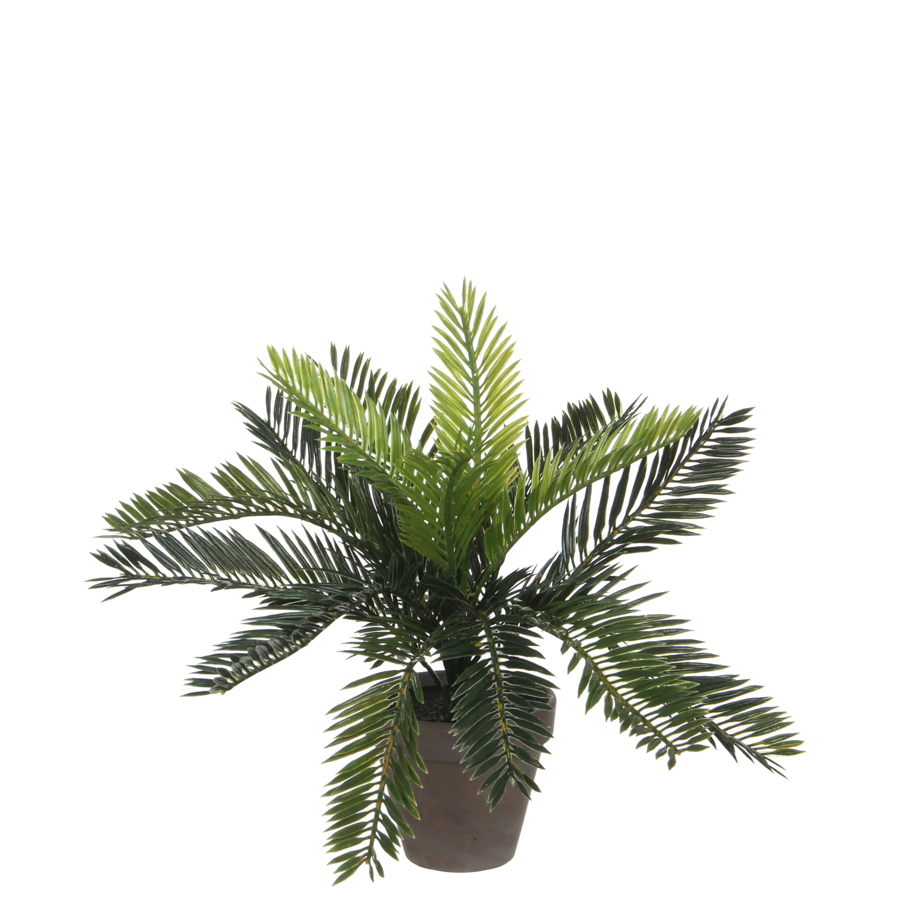 Mica Kunstpflanze Cycas Palme grün im Topf 33 x 34 cm