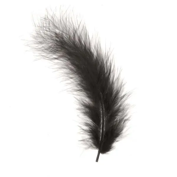 Glorex Marabufedern schwarz ca. 15 Stück