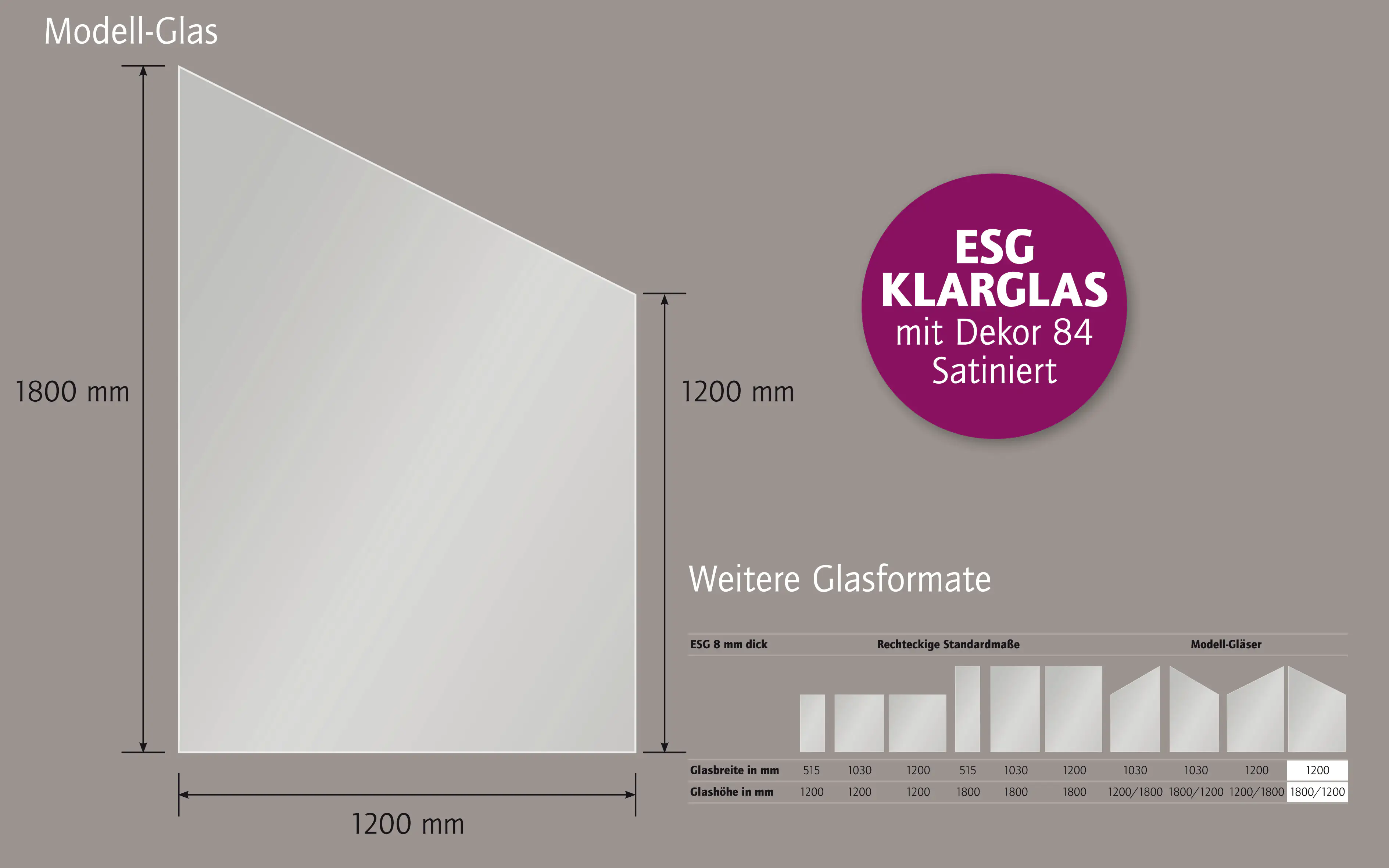 Ambiente Glaszaun Dekor 84 schräg 120 x 180/120 cm gehärtetes 8 mm Glas