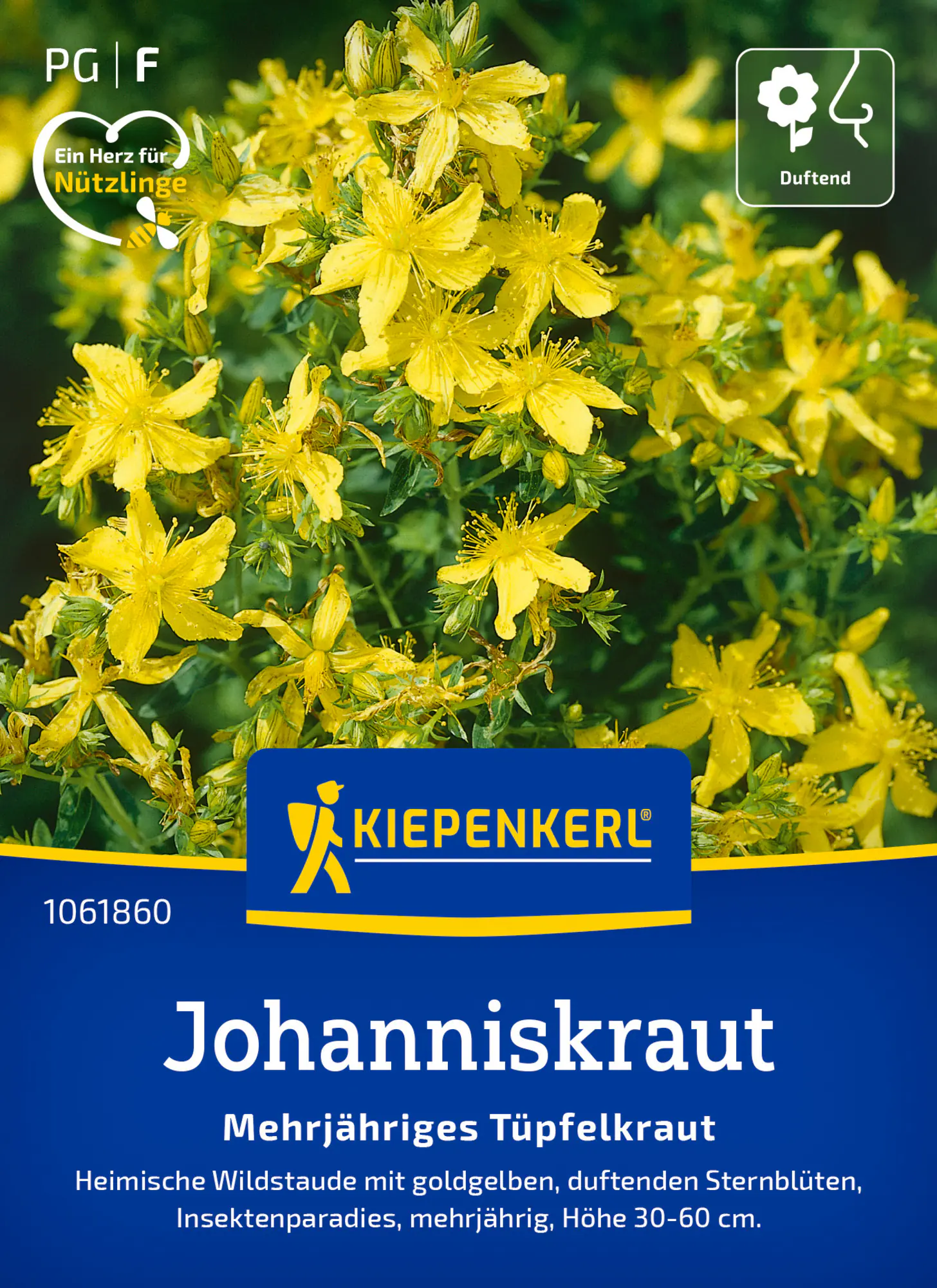 Kiepenkerl Saatgut Johanniskraut Mehrjähriges Tüpfelkraut für ca. 250 Pflanzen