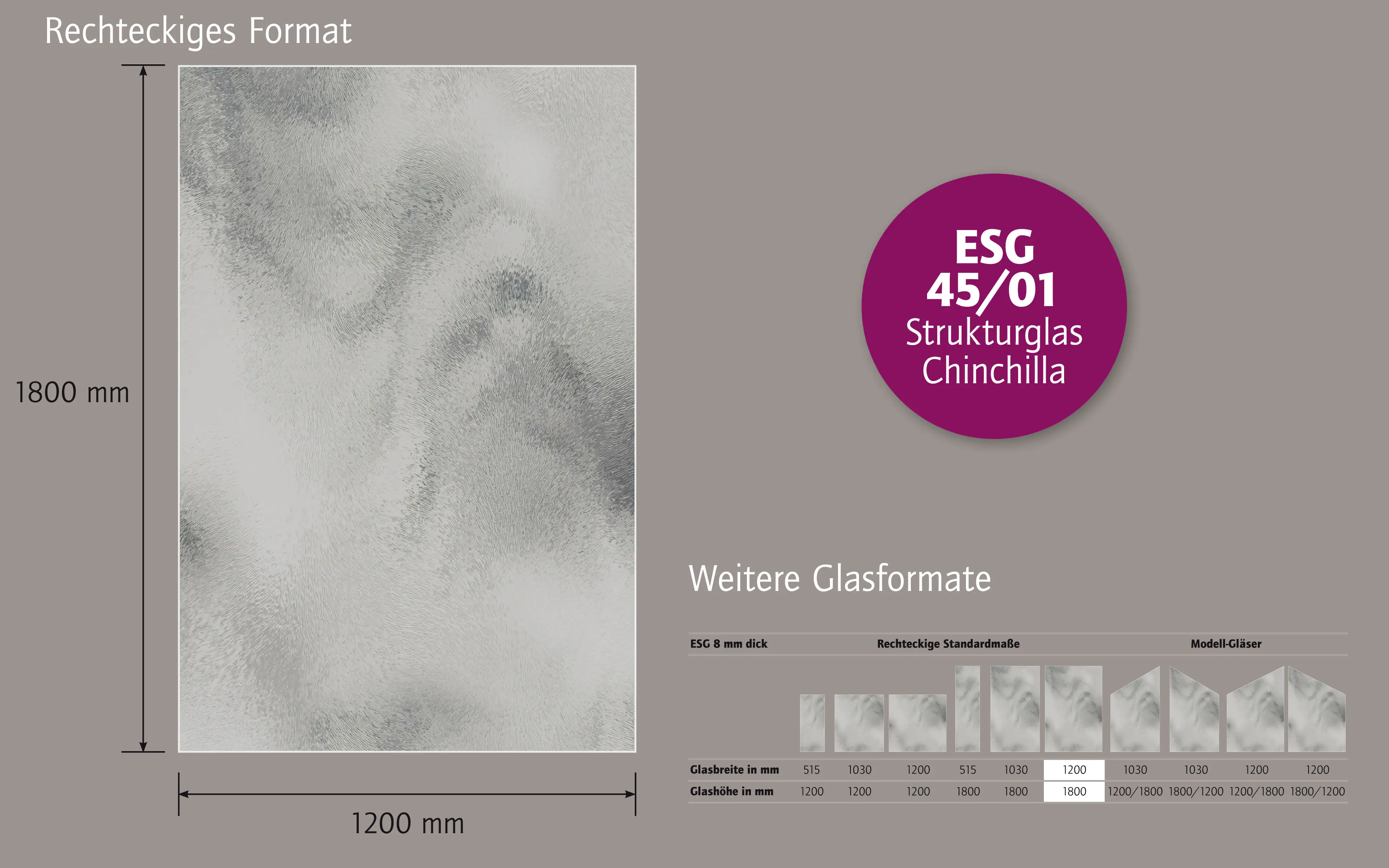 Ambiente Glaszaun B x H: 120 cm x 180 cm, gehärtetes 8 mm Glas
