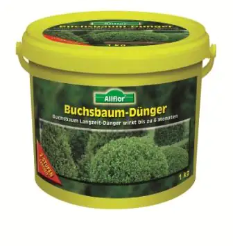 Allflor Gartendünger Buchsbaum 3 kg