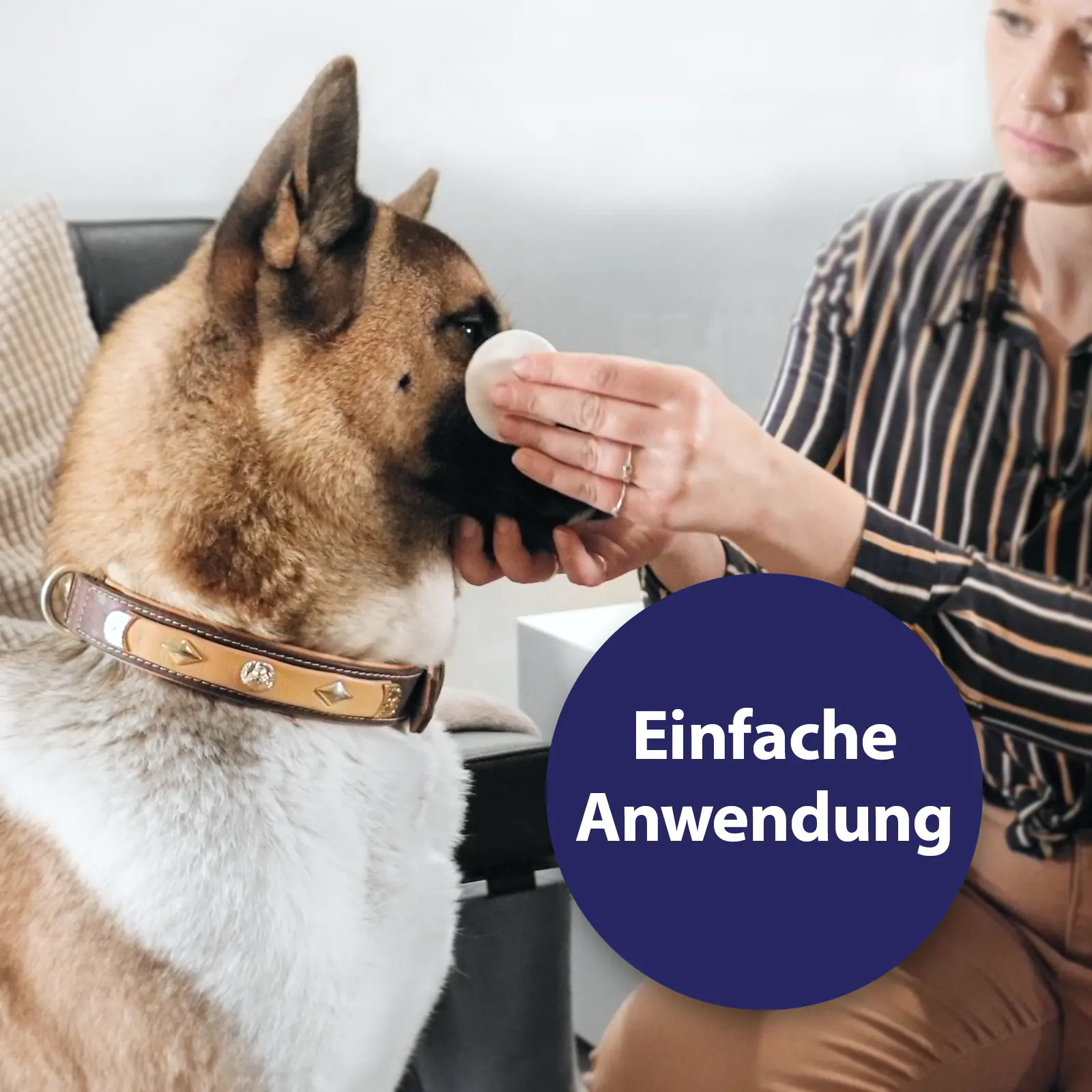 Canosept Augenpflege-Pads für Hunde 100 Stück