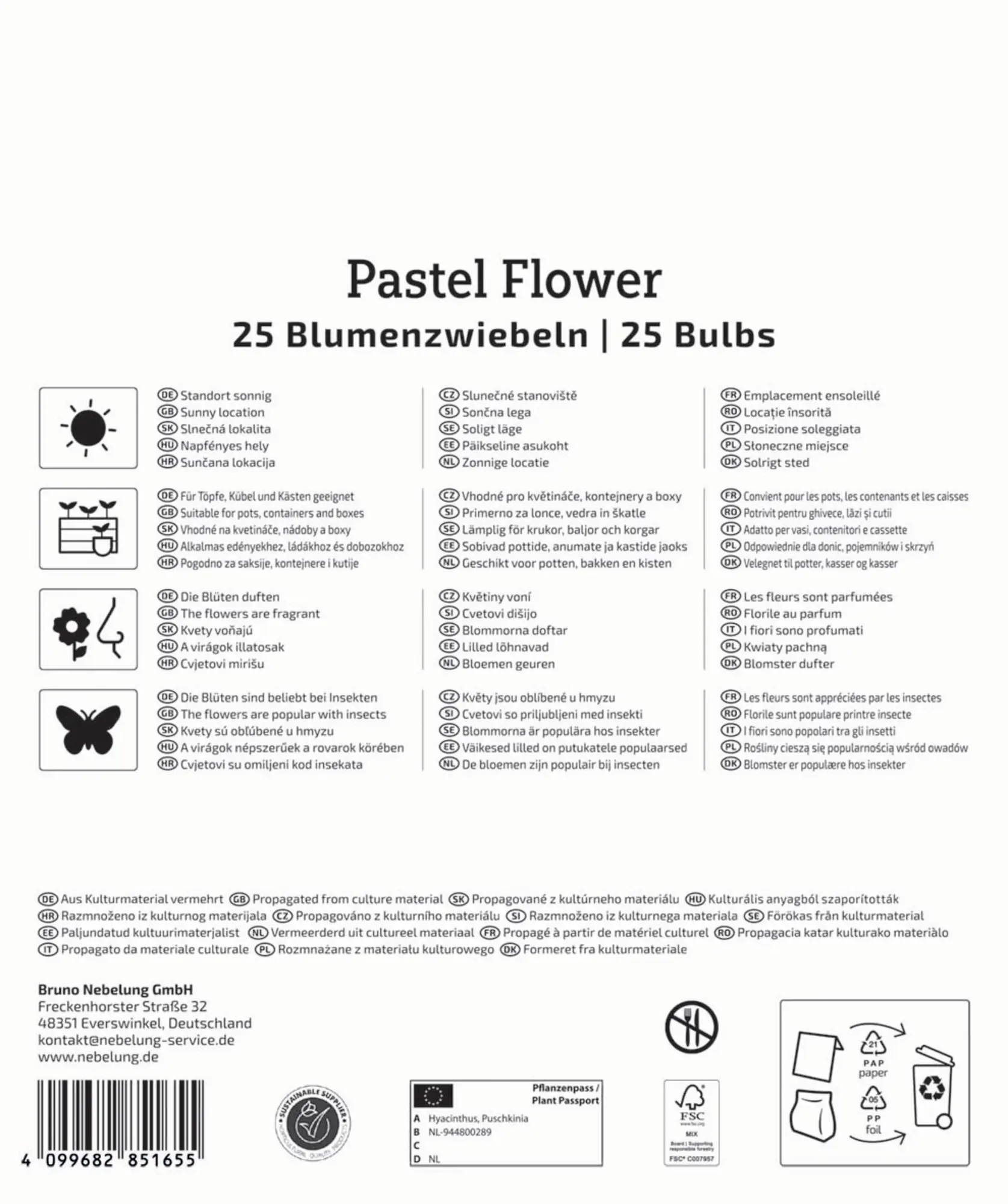 Kiepenkerl Herbstblumenzwiebelmischung Mega-Pack Pastel Flower 25 Stück