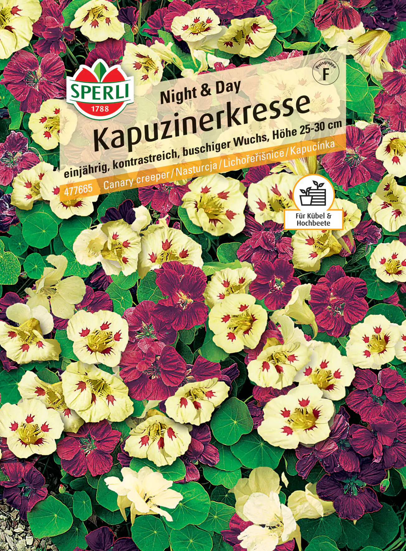 Sperli Kapuzinerkresse Night & Day