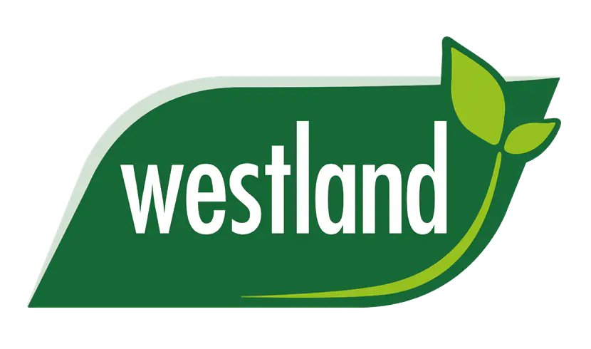 Westland