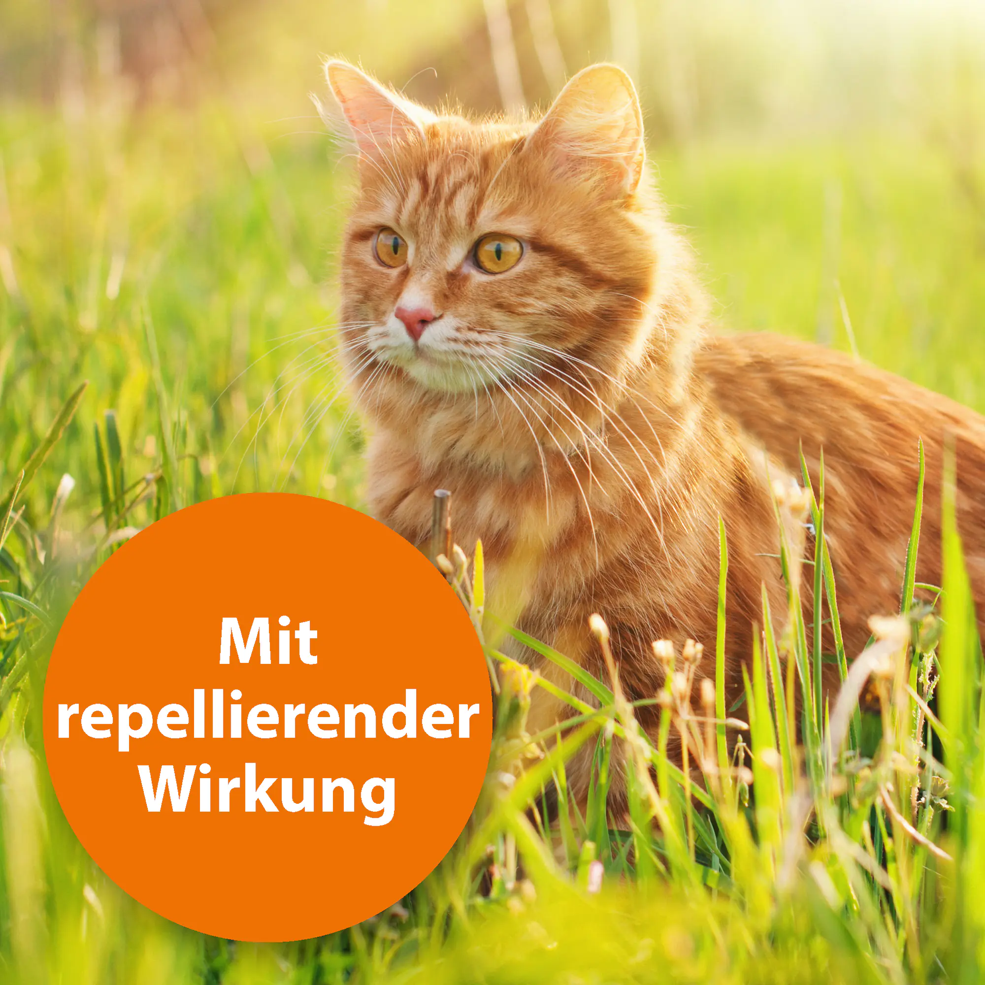 ARDAP Spot On Floh- und Zeckenschutztropfen für Katzen über 4 kg 3 x 0,8 ml