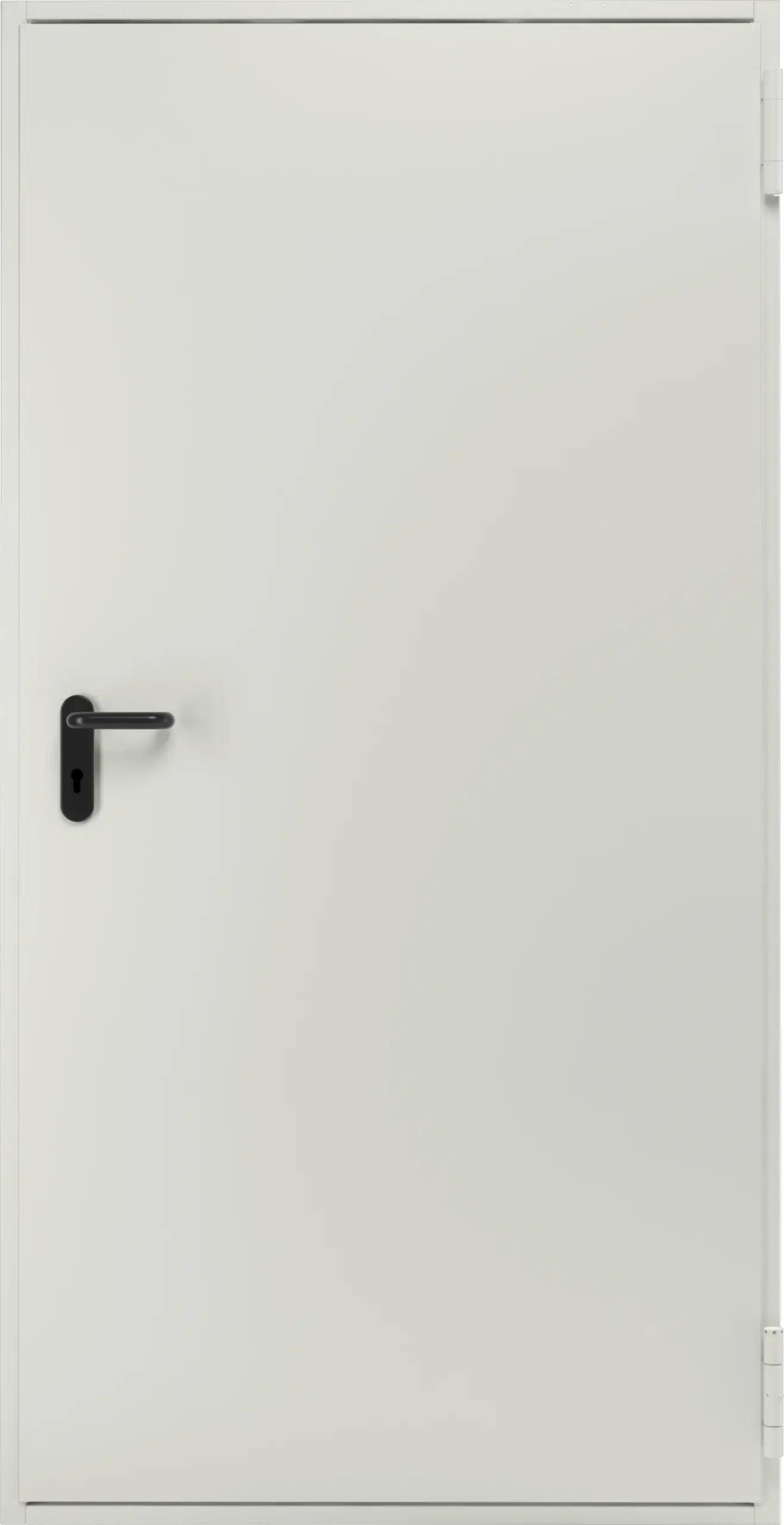Hörmann Feuerschutztür T-30-1 100 x 200 cm