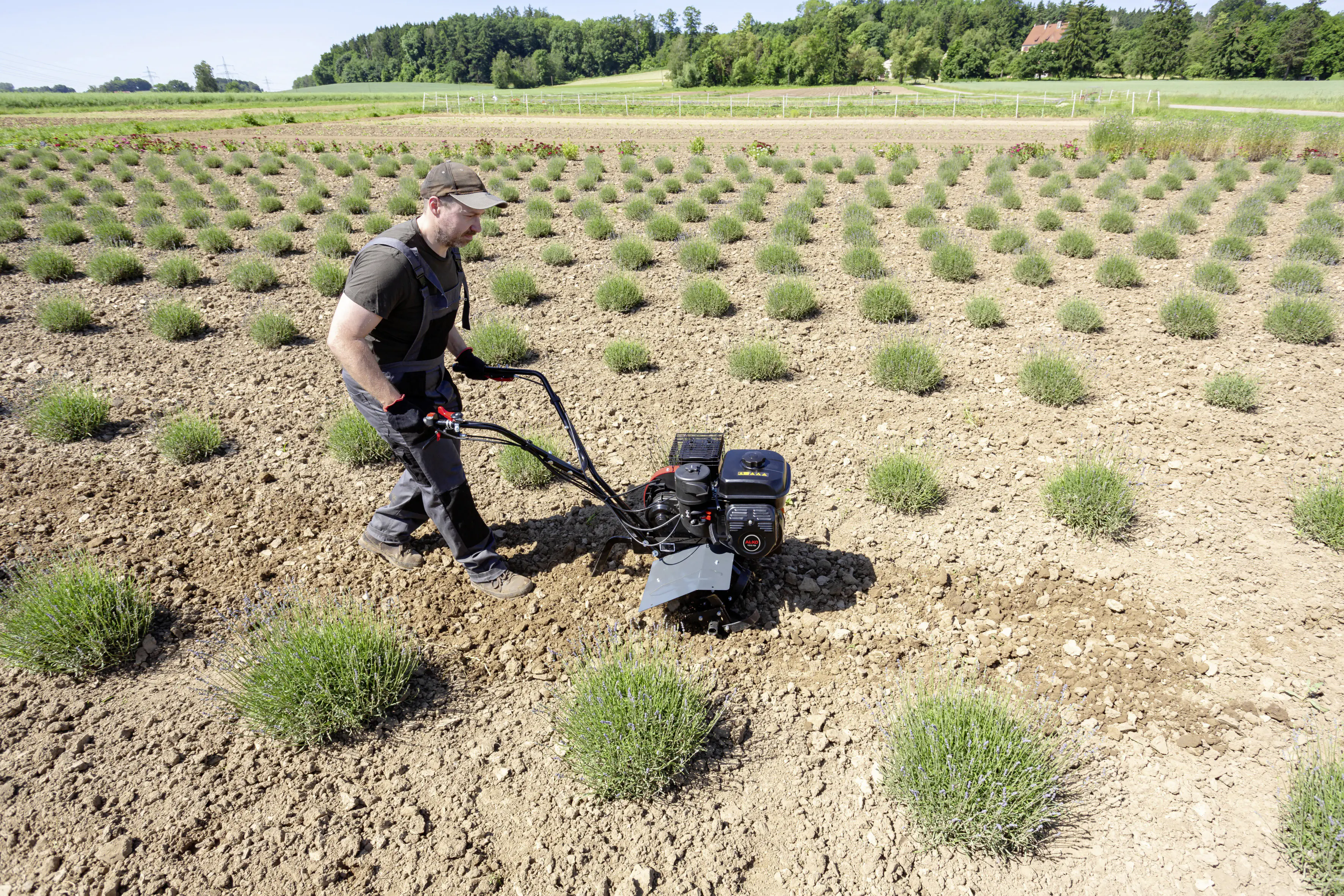 AL-KO Benzin-Motorhacke MH 540 Comfort 3,45 kW, 54 cm Arbeitsbreite