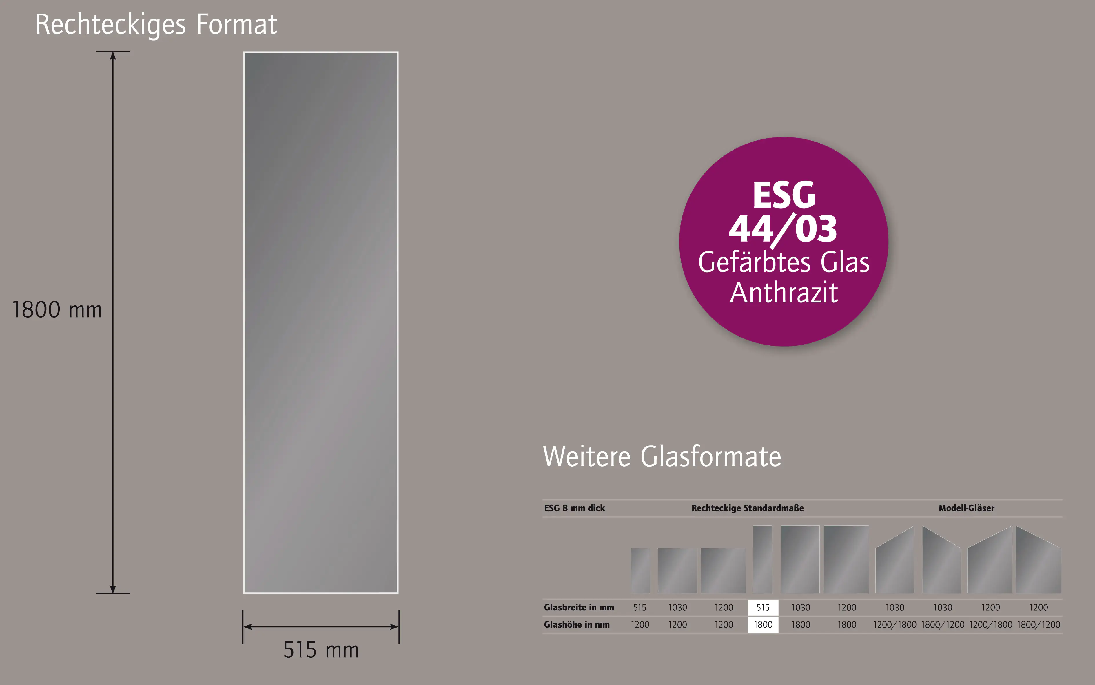Ambiente Glaszaun Dekor 44/03 51,5 x 180 cm gehärtetes 8 mm Glas