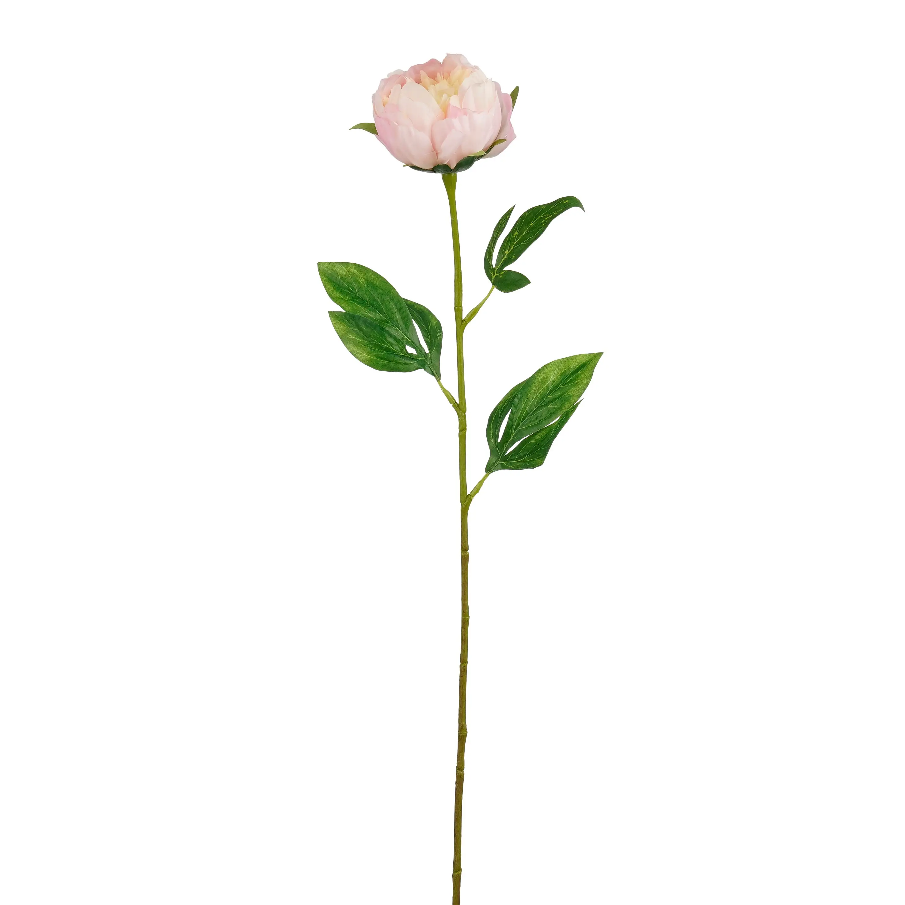Mica Decorations Kunstpflanze Peonie hellrosa 60 cm