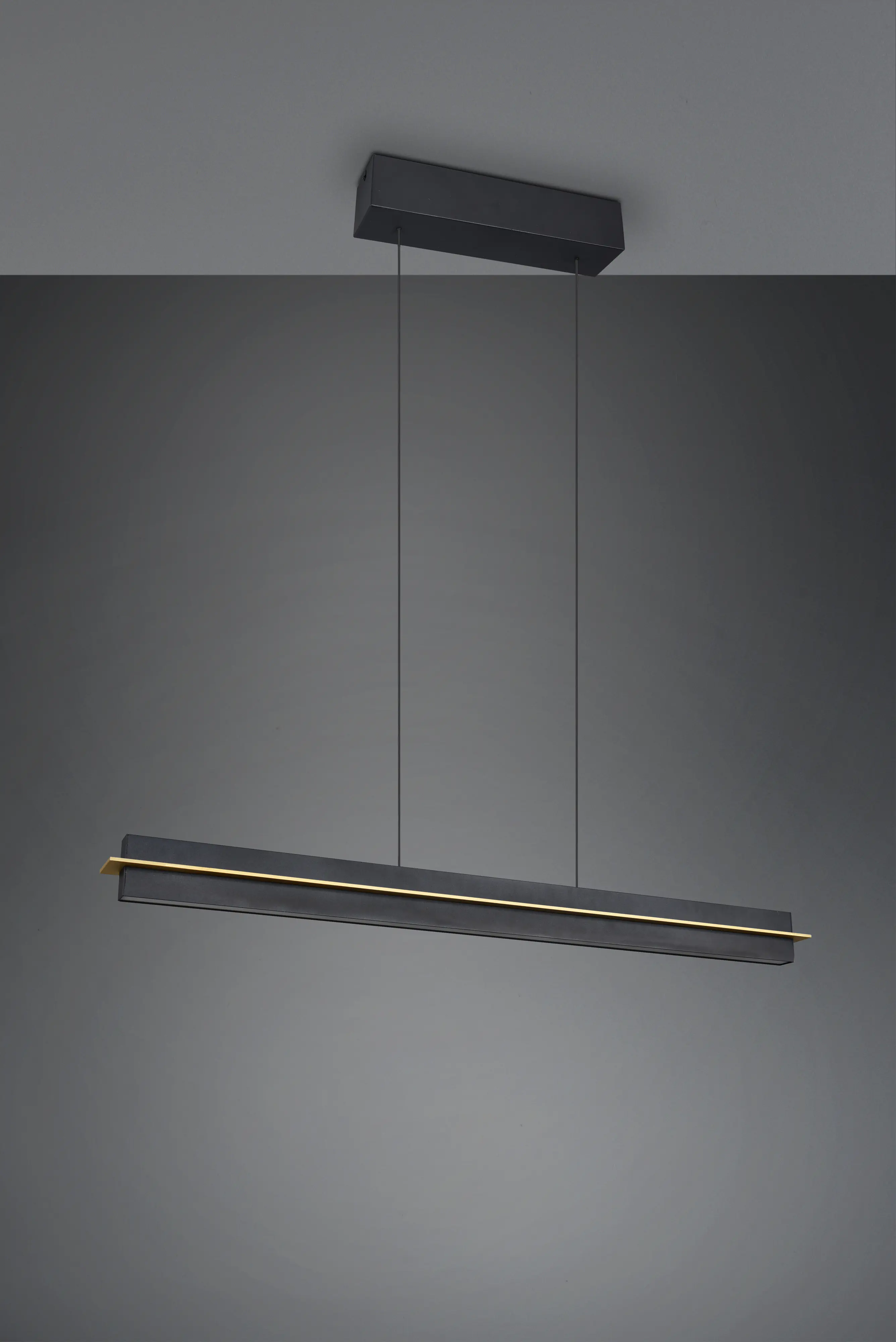 Trio Pendelleuchte Emerson 22W schwarz warmweiß-kaltweiß