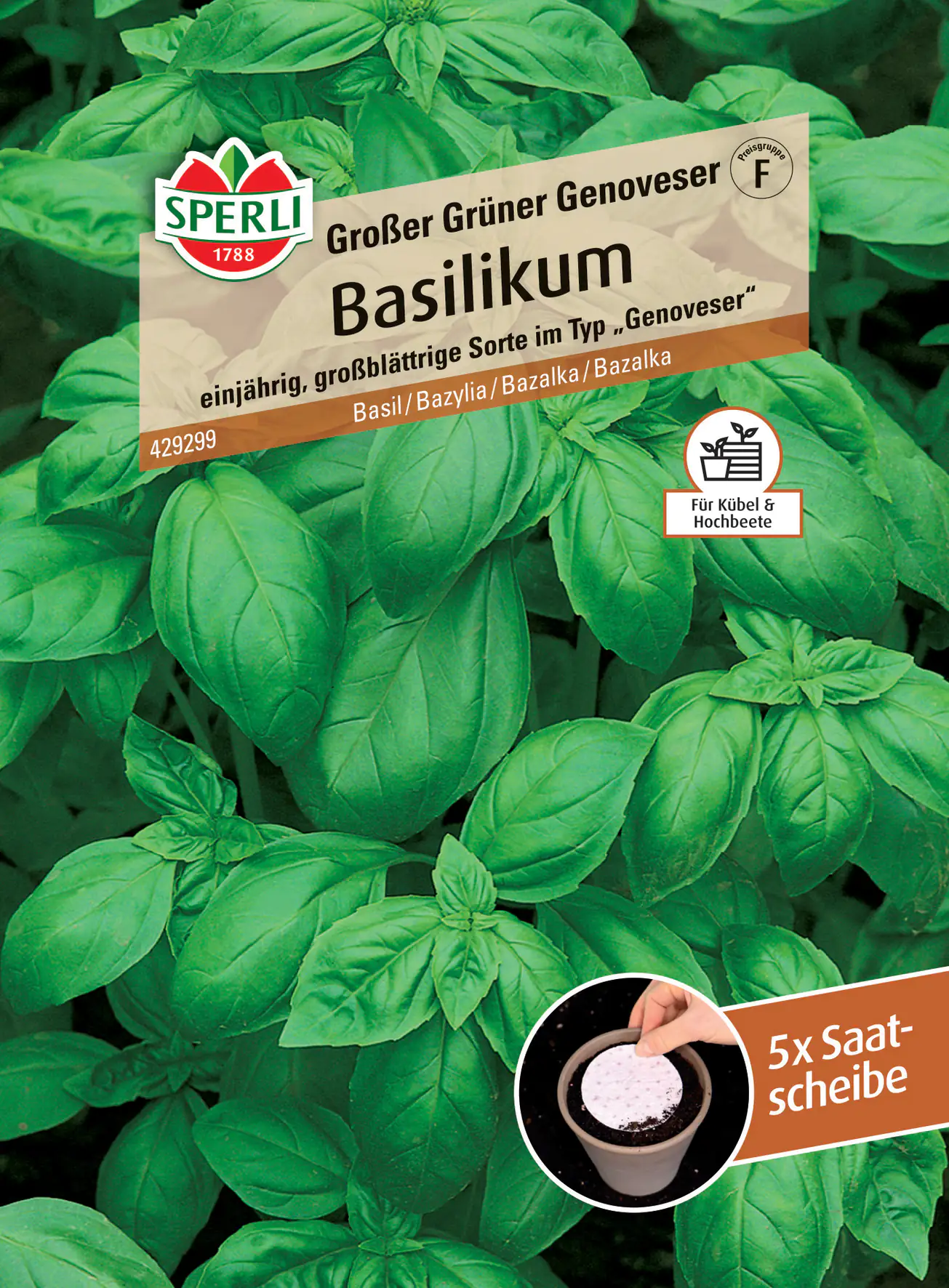Sperli Basilikum Grosses Grünes Genoveser Saatscheibe