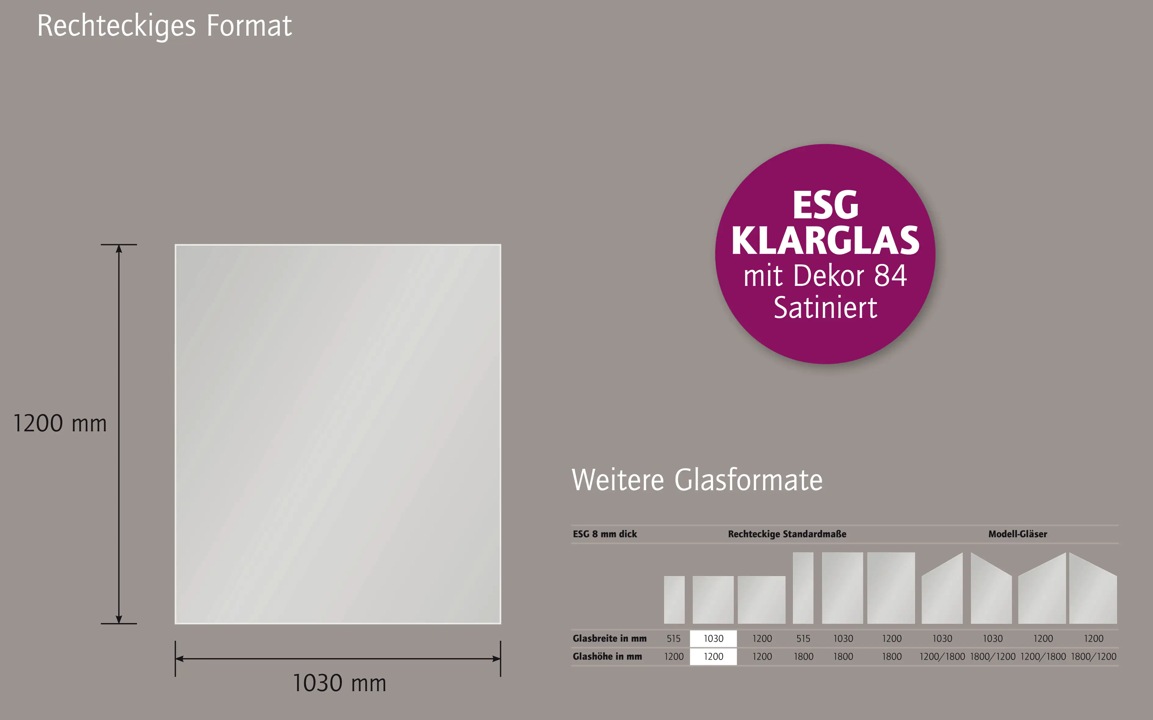 Ambiente Glaszaun Dekor 84 103 x 120 cm gehärtetes 8 mm Glas