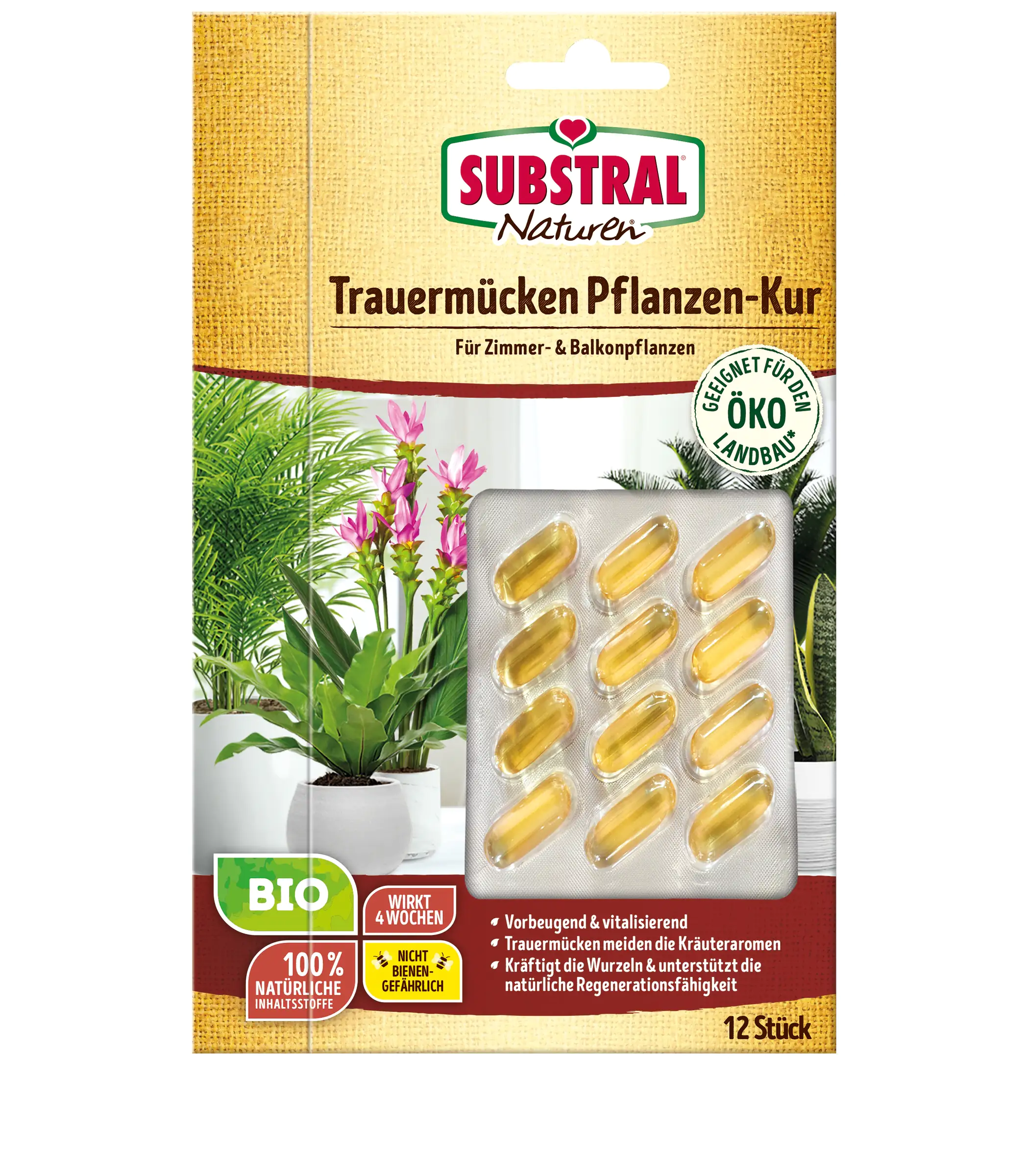 Substral Naturen Trauermücken Pflanzenkur 12 Stück