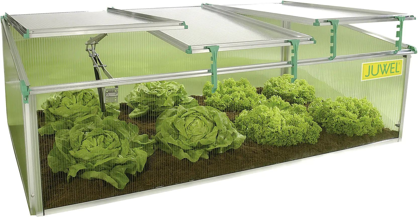 Juwel Premium Frühbeet BIOSTAR 1500 150 x 80 x 50/40 cm
