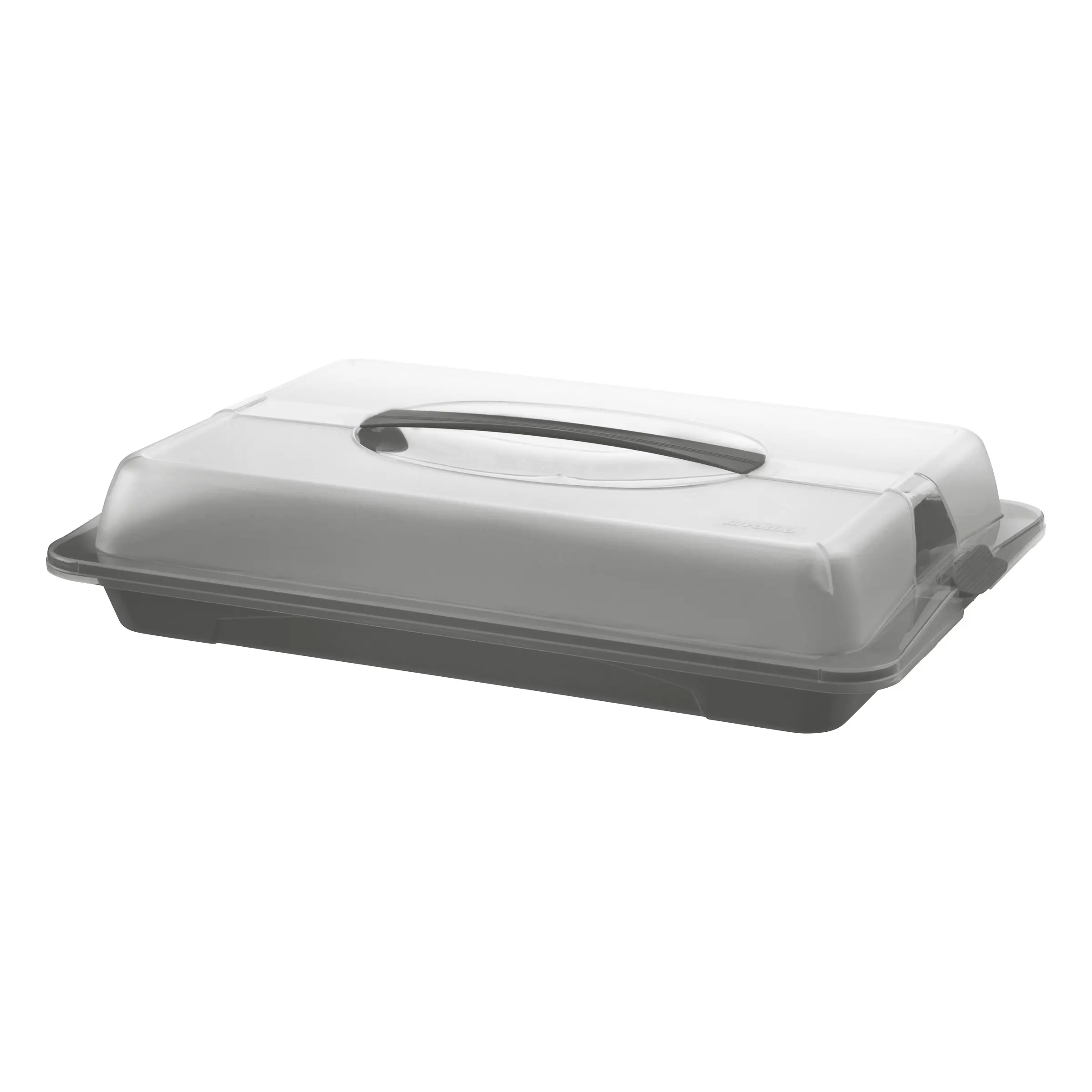 Rotho Kuchentransportbox John medium 44 x 30 cm grau