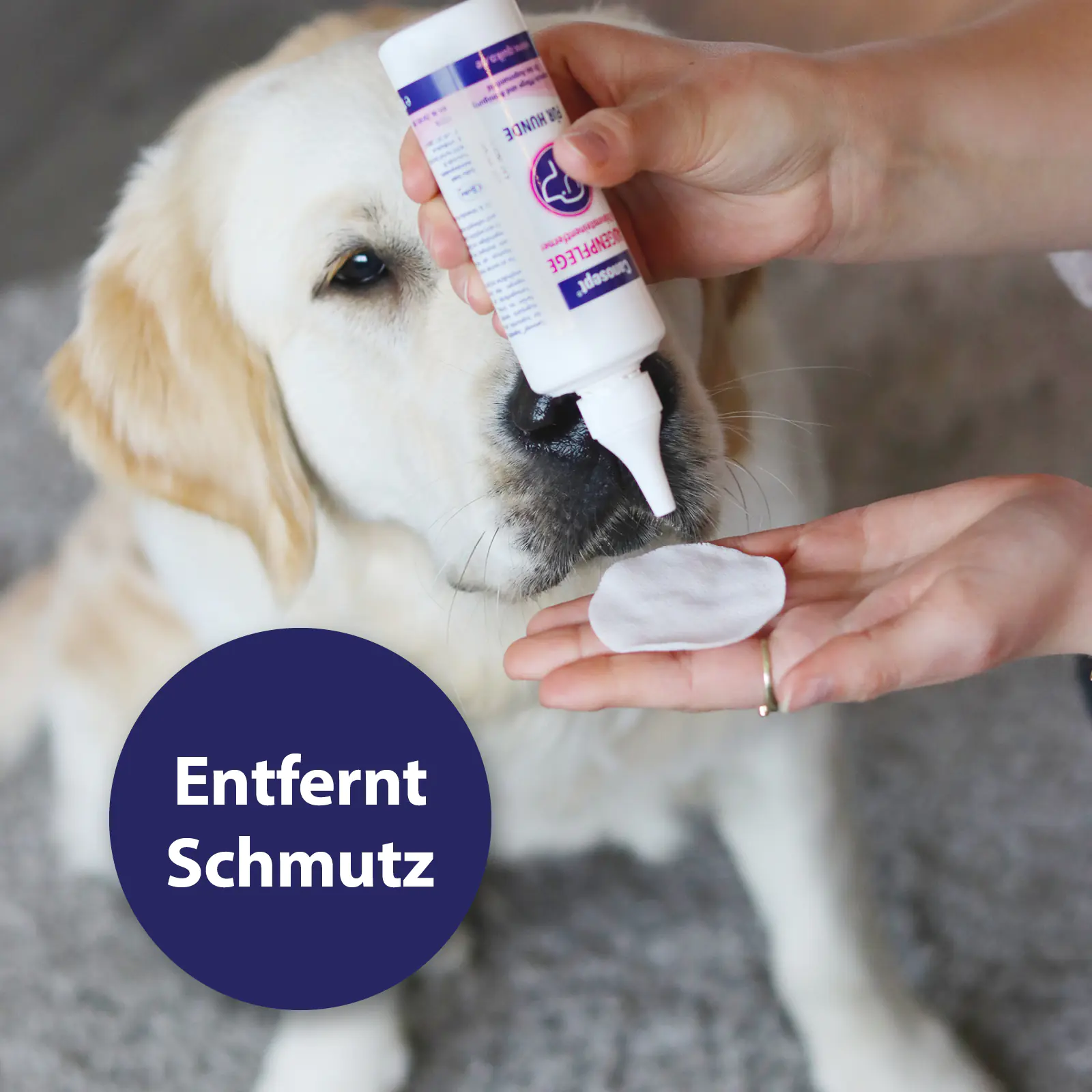 Canosept Augenpflege-Pads für Hunde 100 Stück