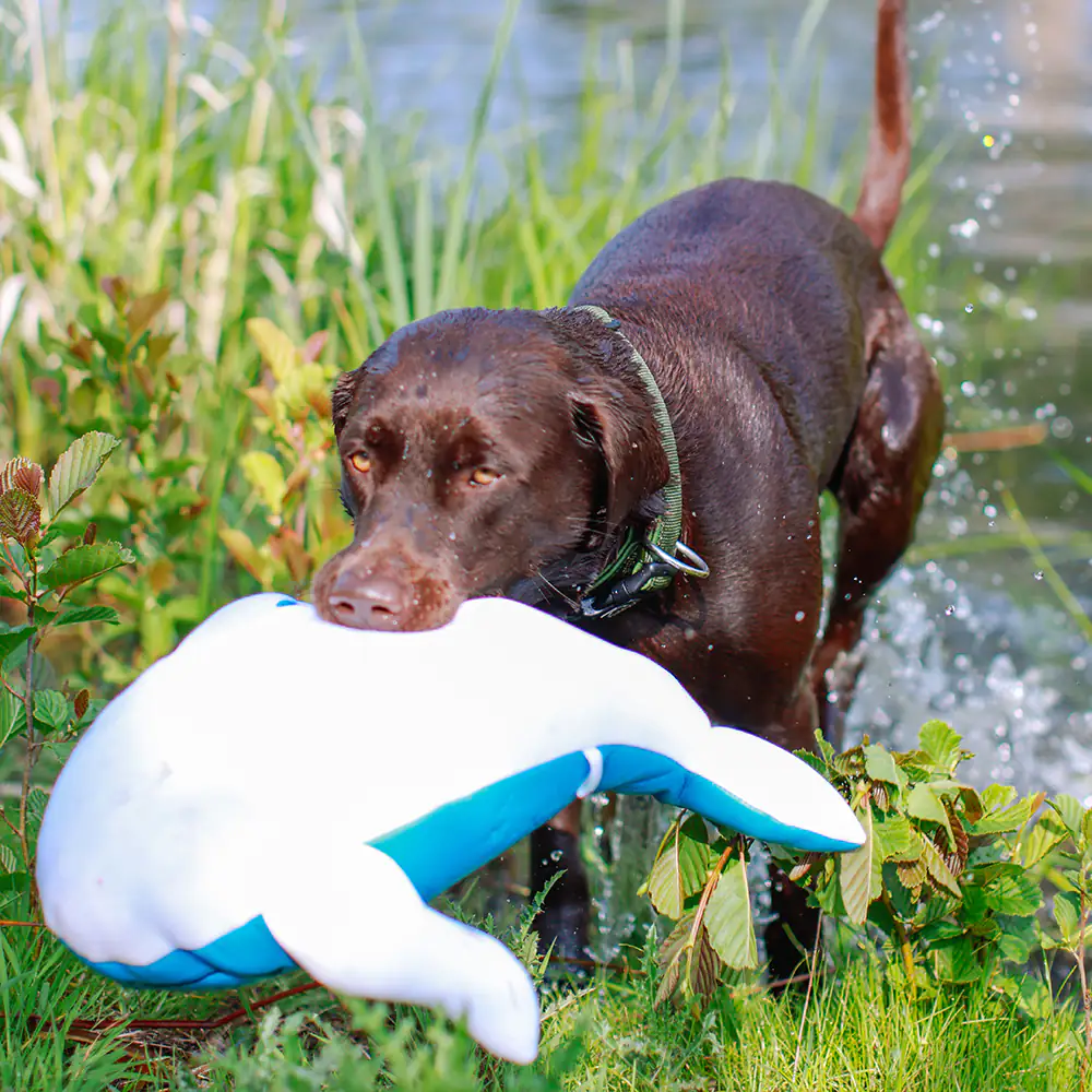 Nobby Wal Floating 48 cm