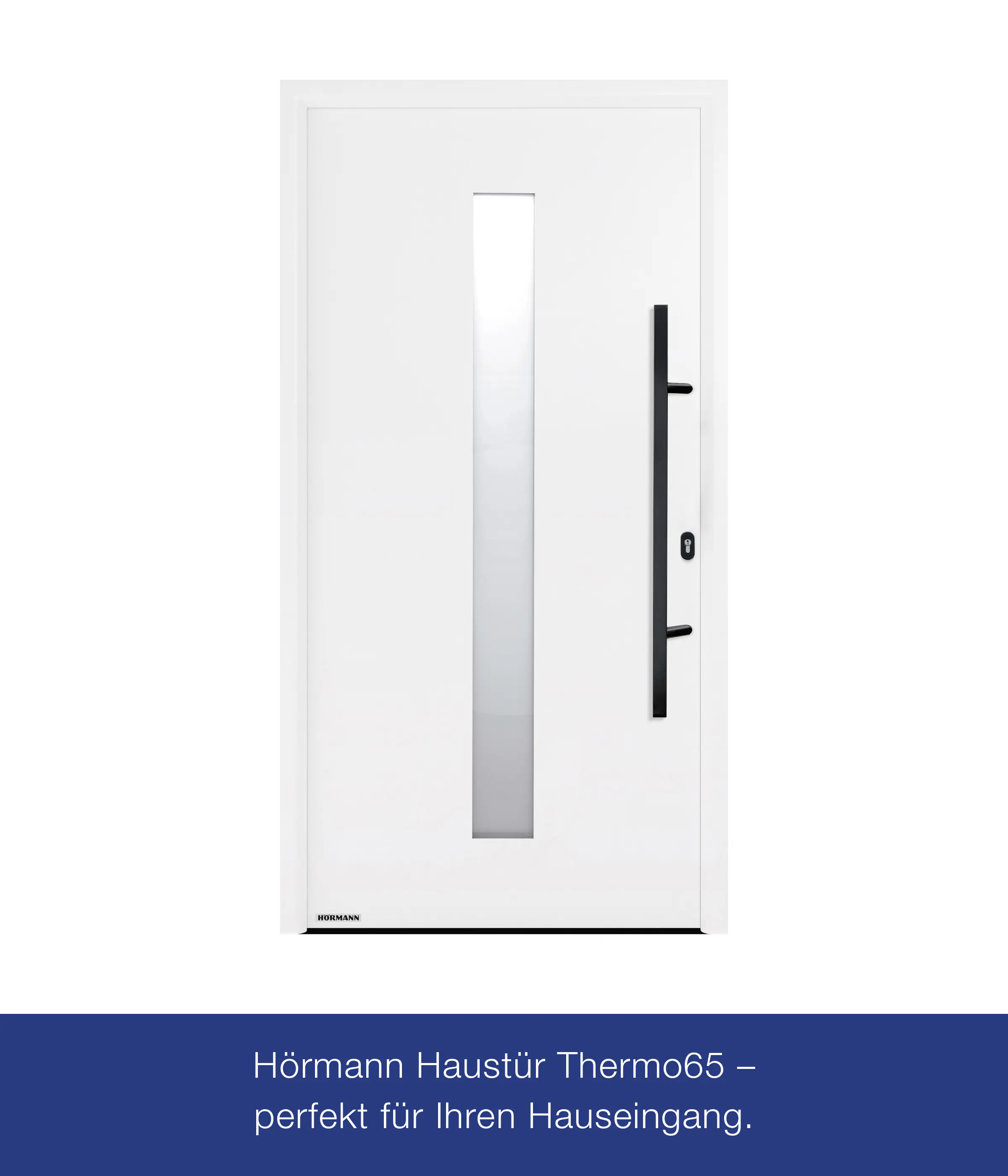 Hörmann Haustür Thermo65 Motiv 610S verkehrsweiß Rechts 110 x 210 cm 