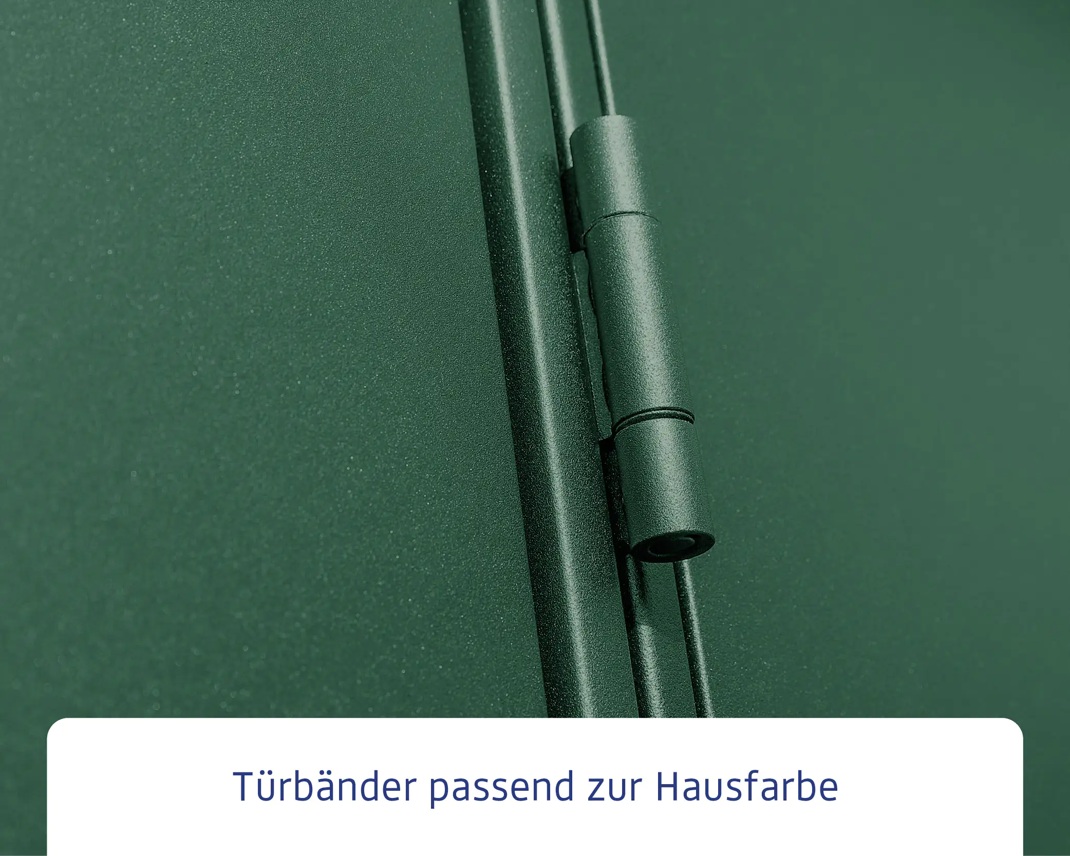 EcoStar Gerätehaus Elegant-S Typ 3 323,6 x 247,7 x 219,4 cm moosgrün