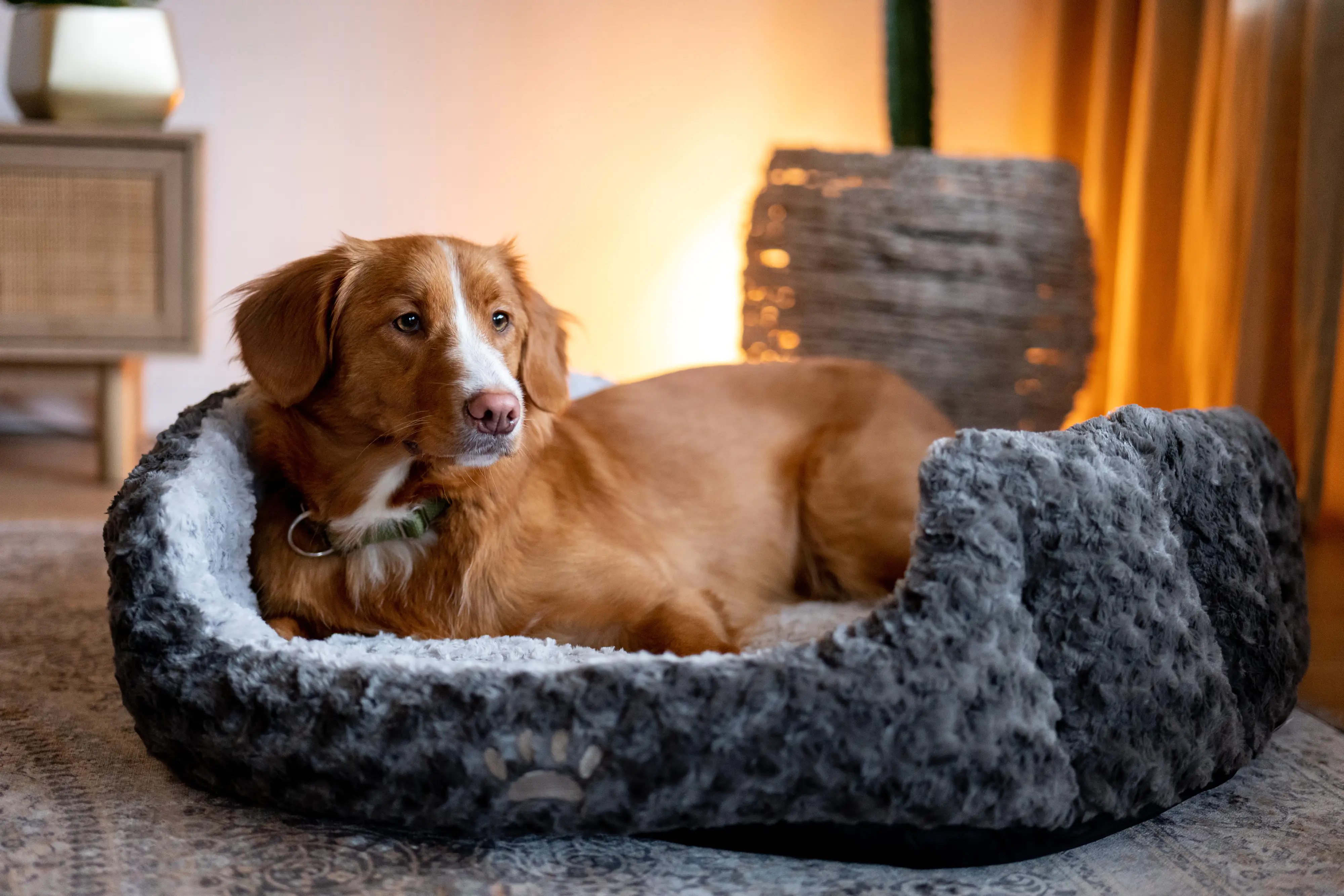 Nobby Komfortbett Seoli oval dunkelgrau/hellgrau