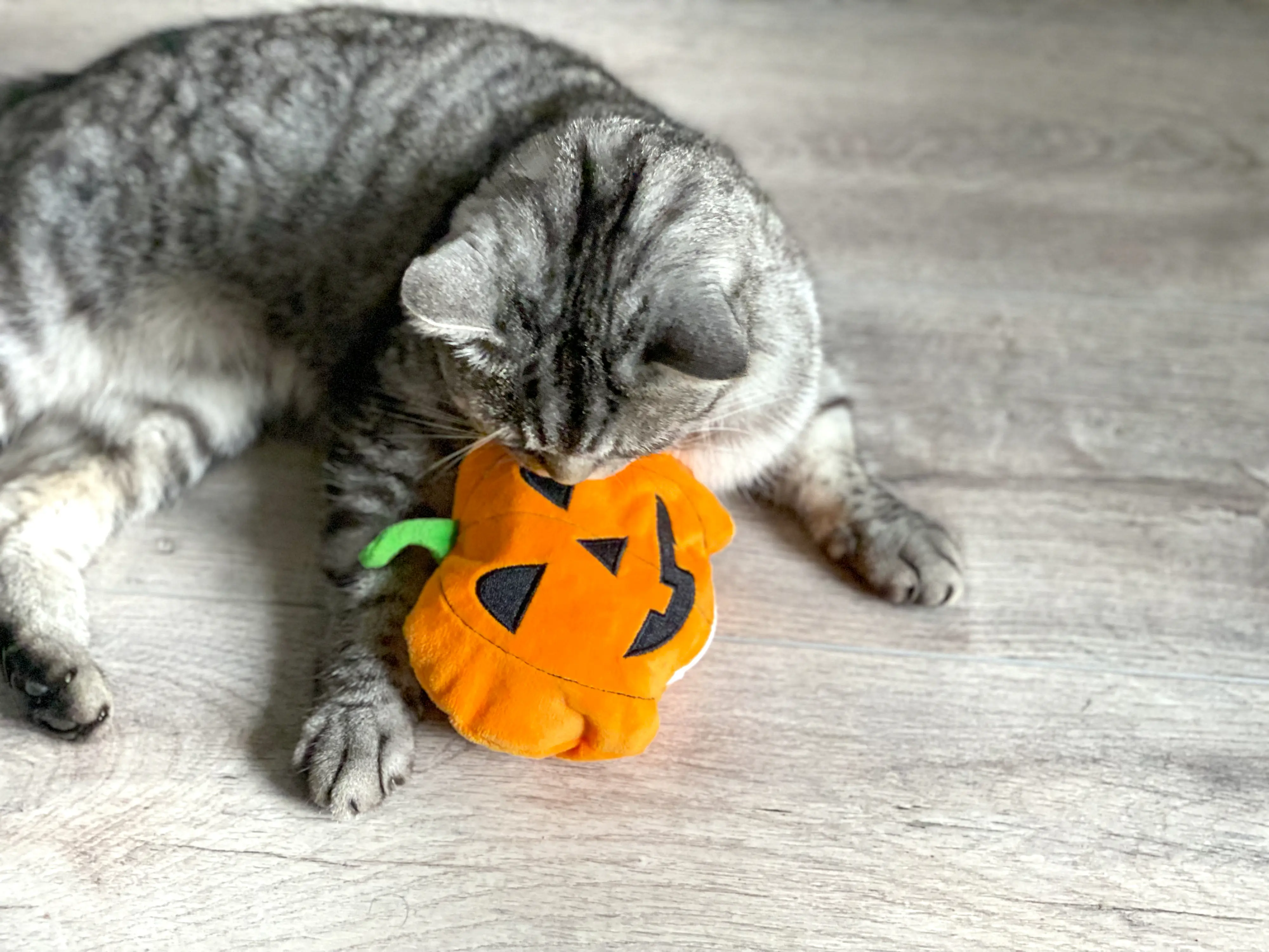Aumüller Katzenspielzeug Kürbis 15 cm orange