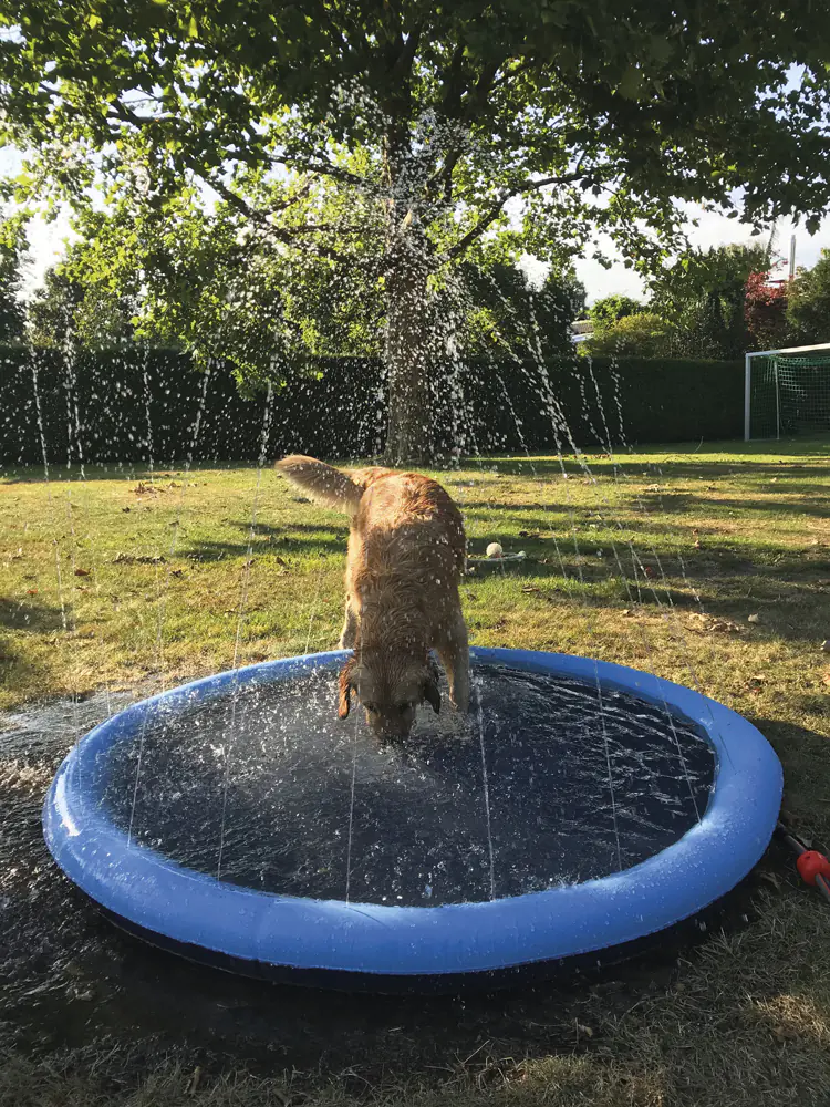Nobby Hundepool Splash Pool