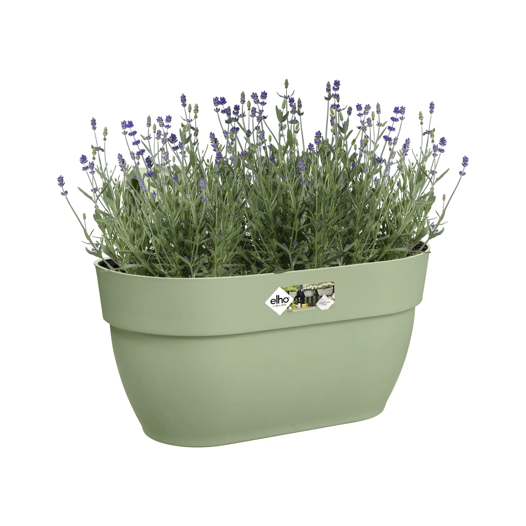 Elho Blumentopf zum Hängen Kunststoff grün 36 x 24,1 x 26,5 cm Vibia Campana Easy Medium