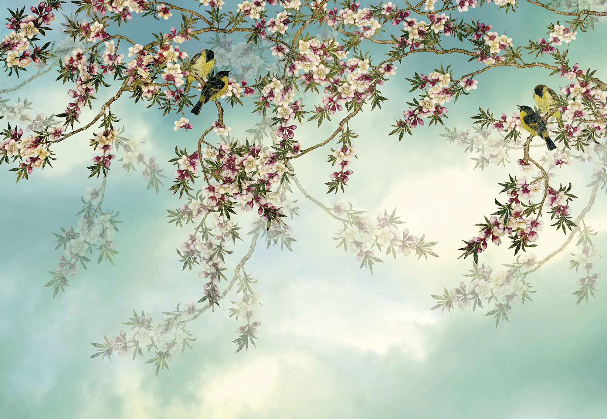 Komar Fototapete Sakura 368 x 254 cm 