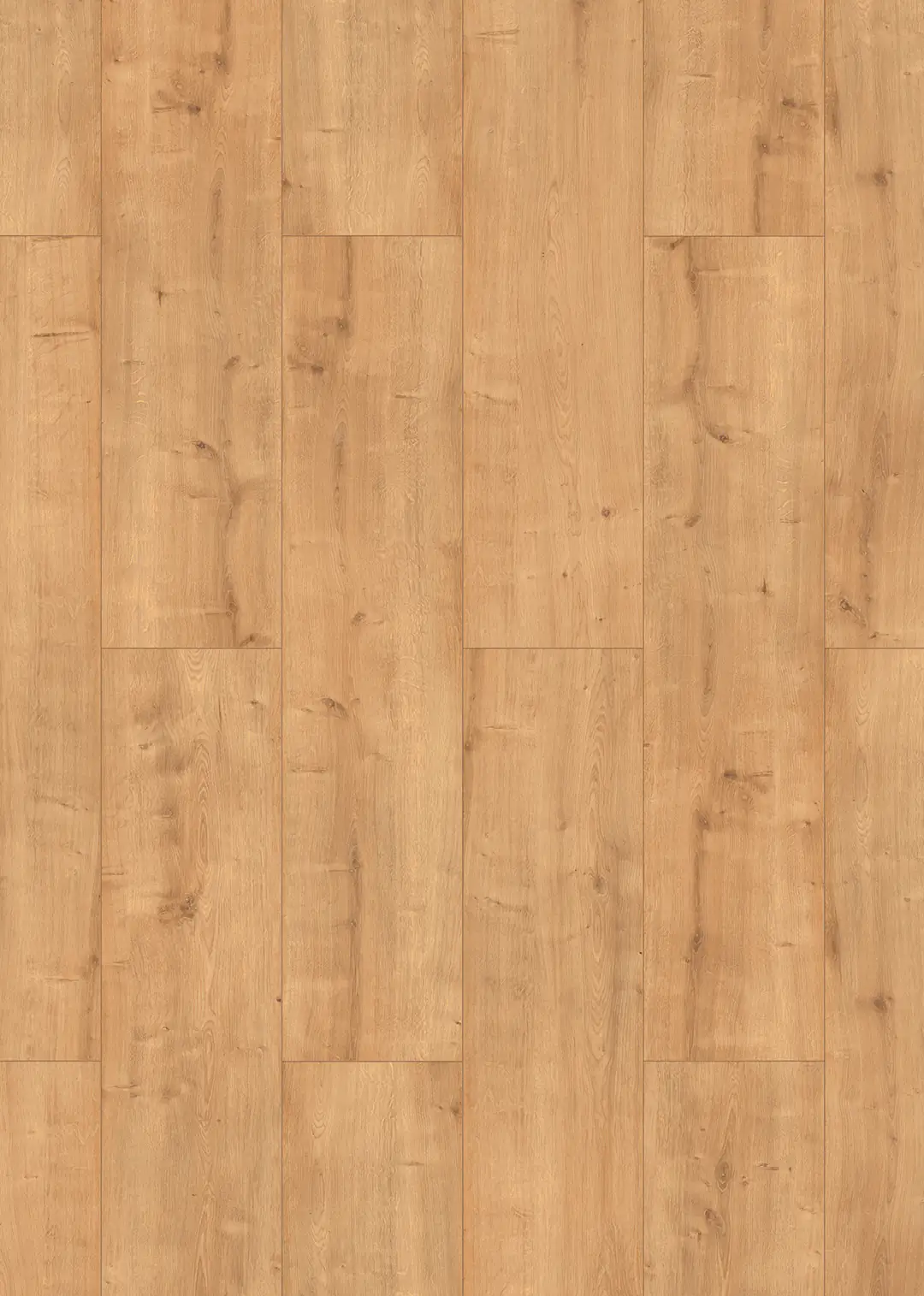 Classen Laminat Grande XXL Carthage Eiche dunkelbeige 