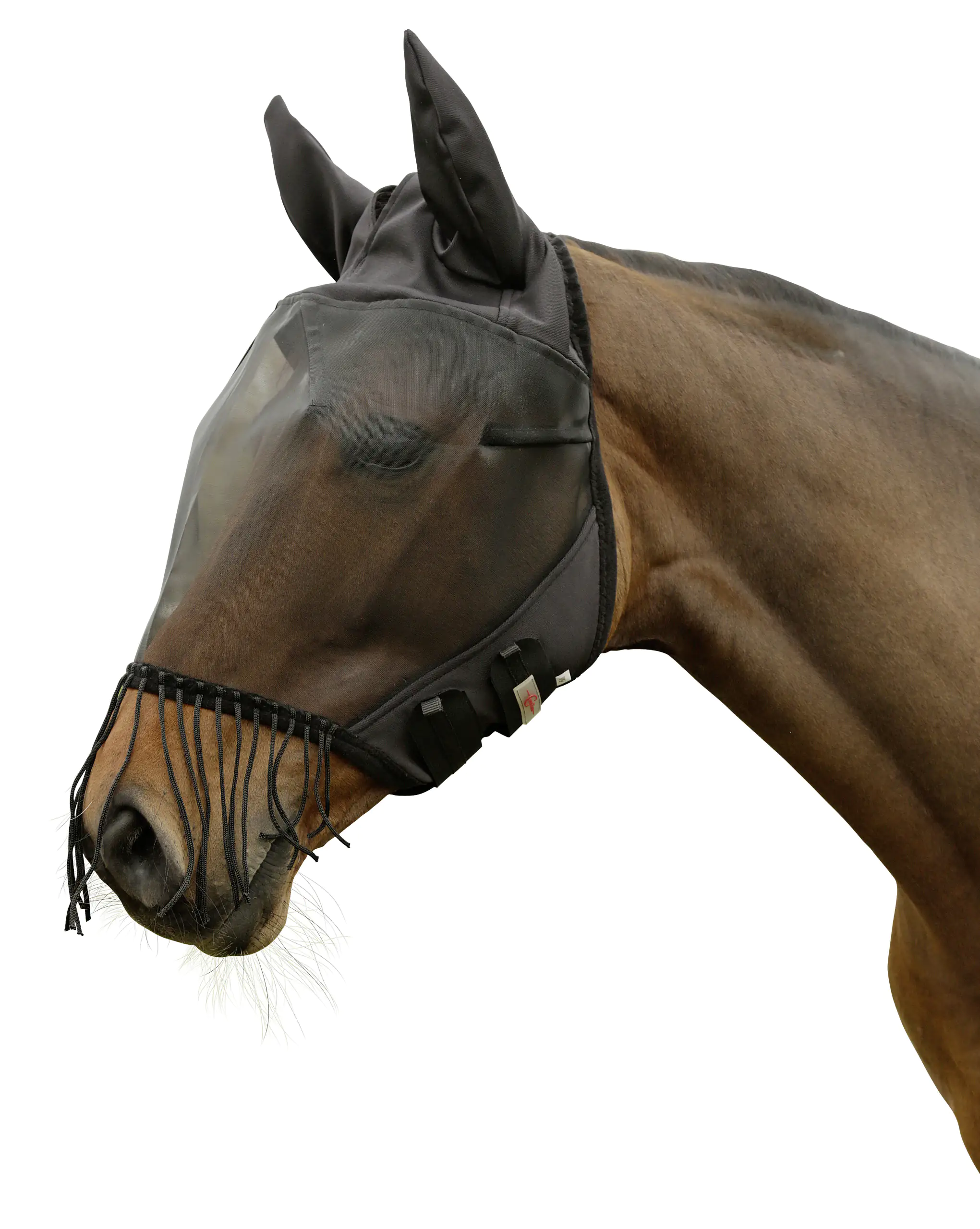 Kerbl Covalliero Fliegenschutzmaske Cob mit Ohrenschutz & Nüsternkordel