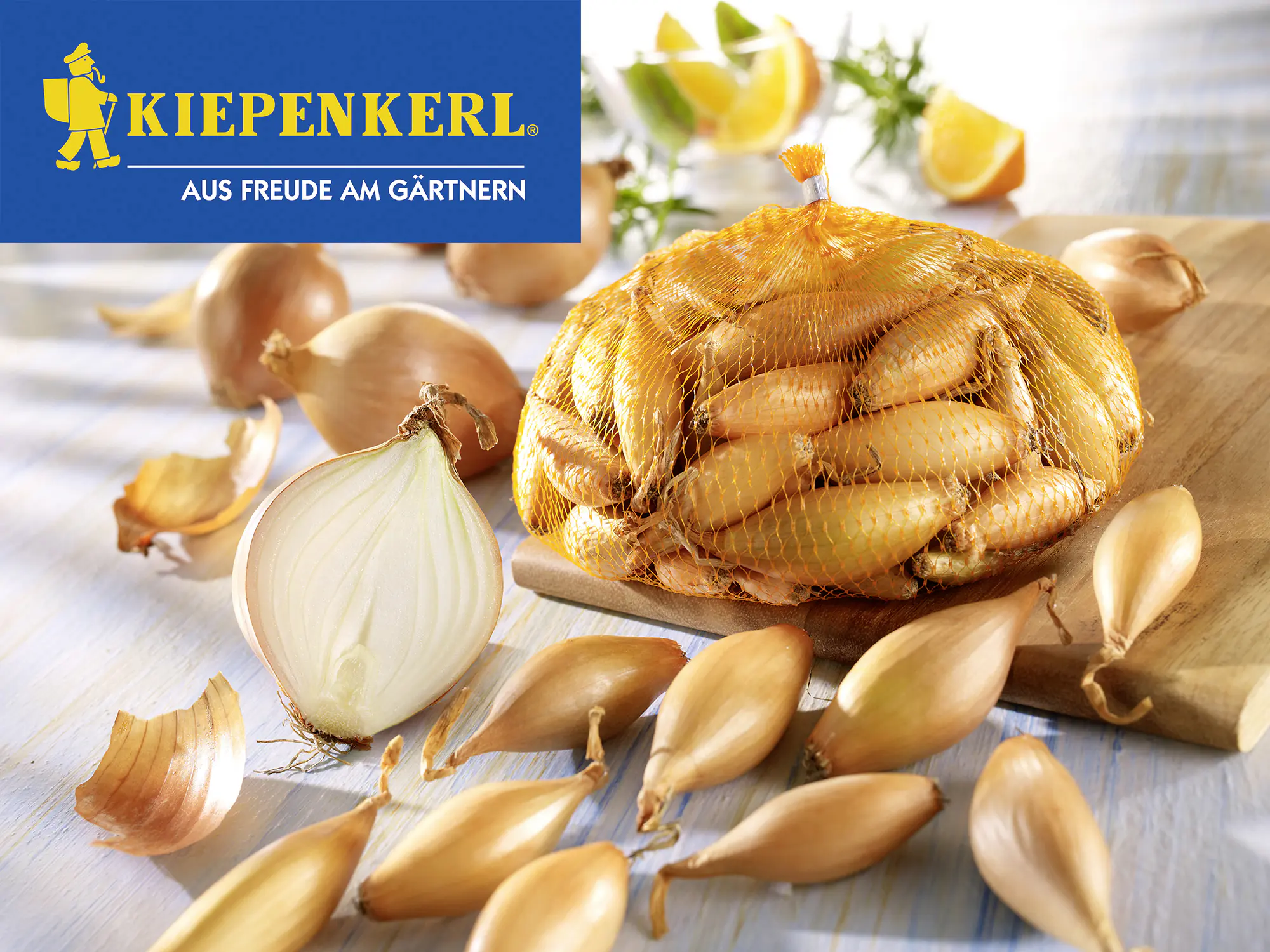 Kiepenkerl Pflanzzwiebeln Steckzwiebeln Birnenförmig Allium cepa, Inhalt: 250 g