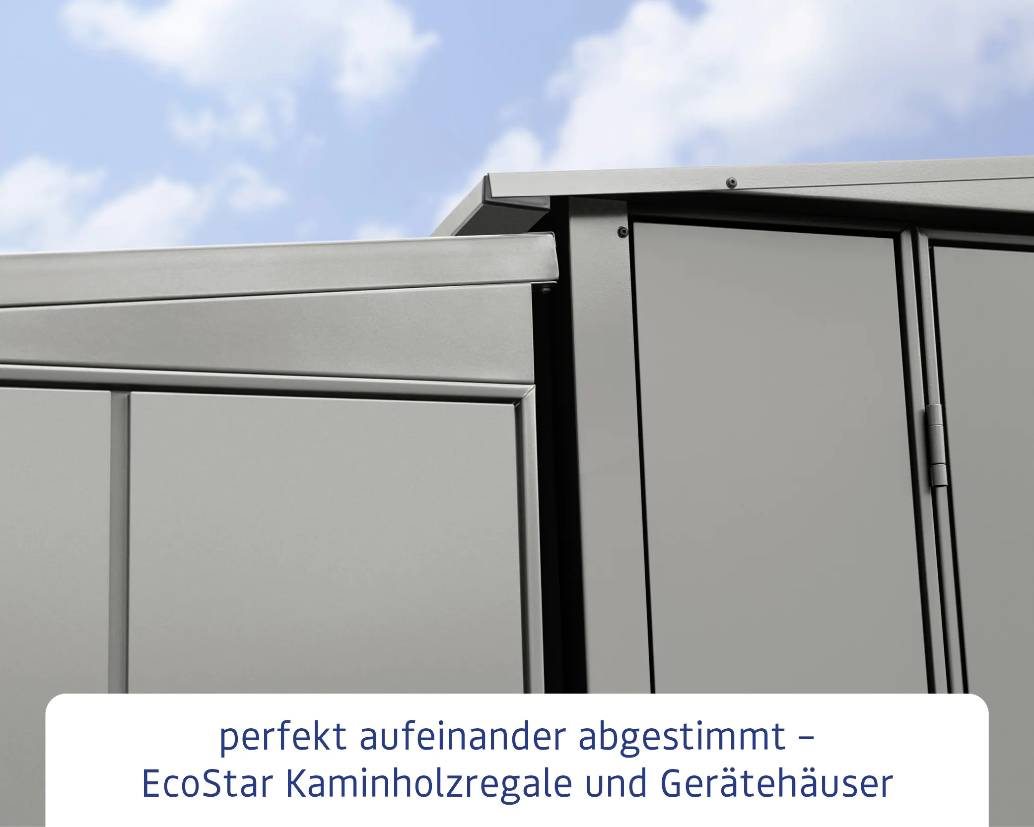 Ecostar Kaminholzregal Elegant-V Typ 2, graualuminium, mit Verstrebung