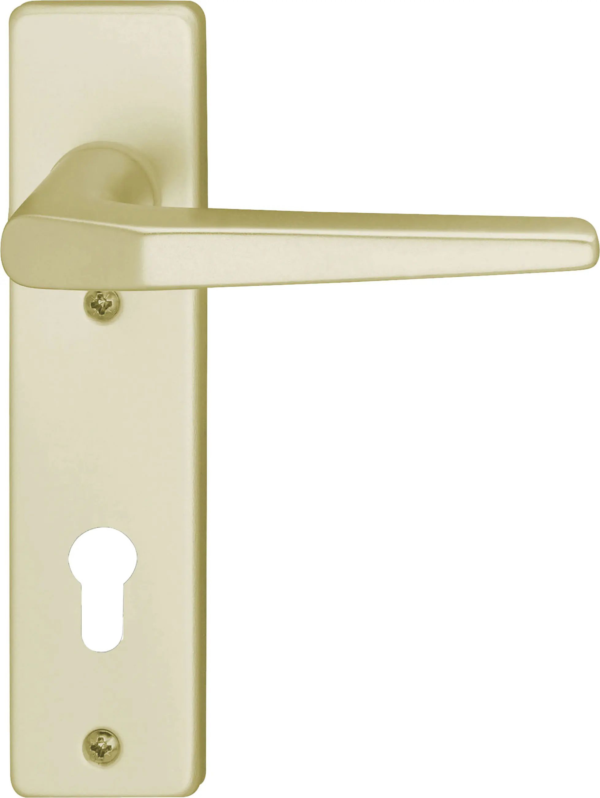 Südmetall Türgriff-Garnitur Kurzschild Florence F2 PZ Aluminium eloxiert neusilber 160 x 40 mm 