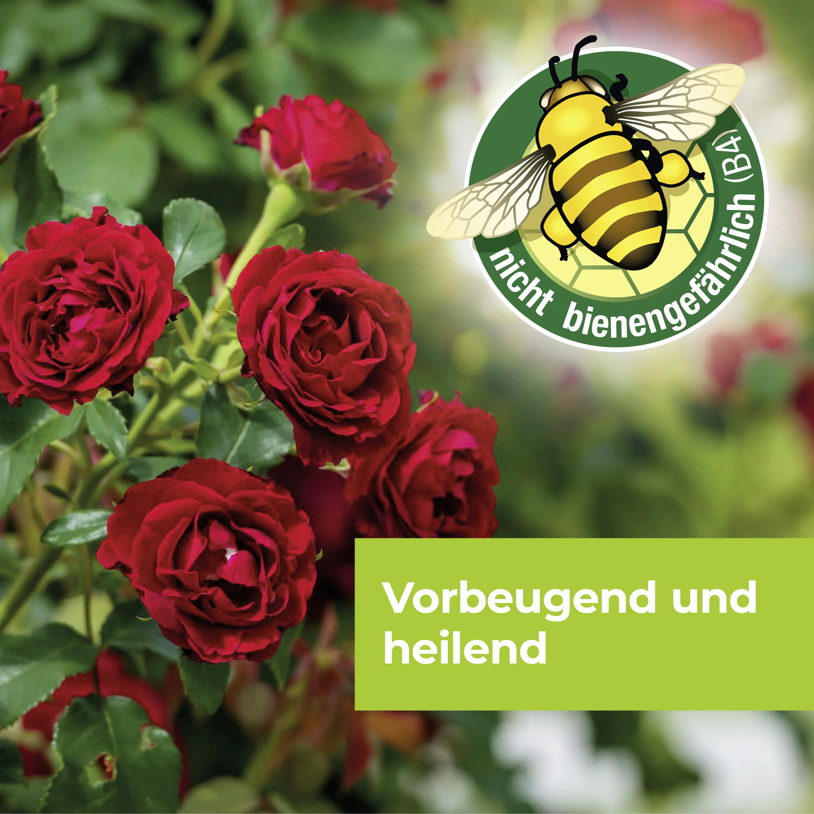 Protect Garden Curamat AZ Rosen-Pilzfrei 15 ml