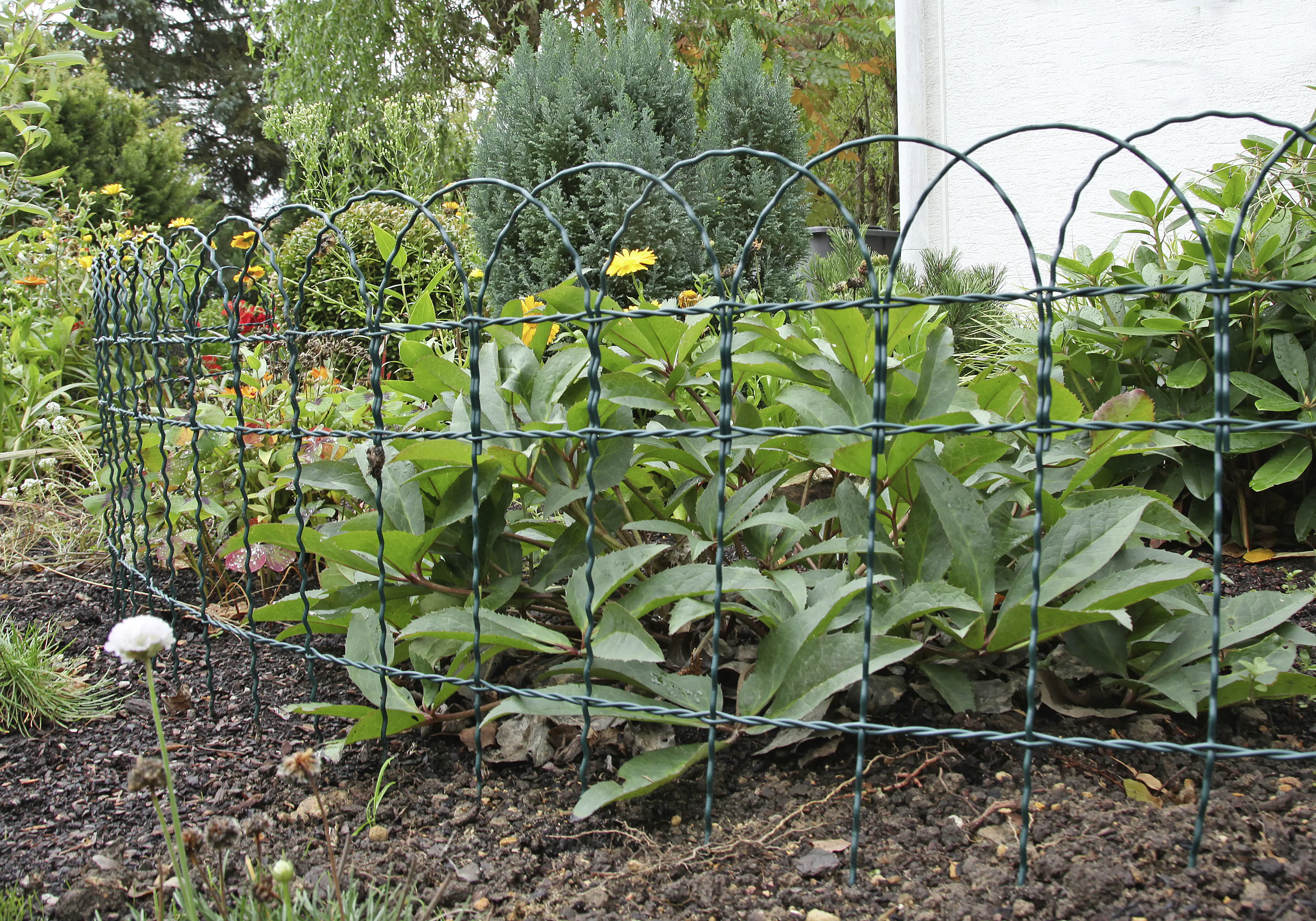 Floraworld Knotengeflecht-Zaun 10 m x 65 cm moosgrün
