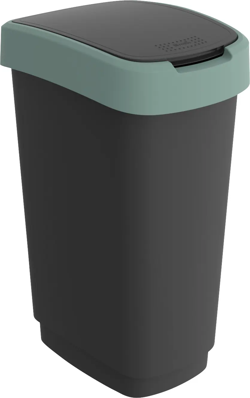 Rotho Swingeimer Twist 50 L schwarz misletoe green