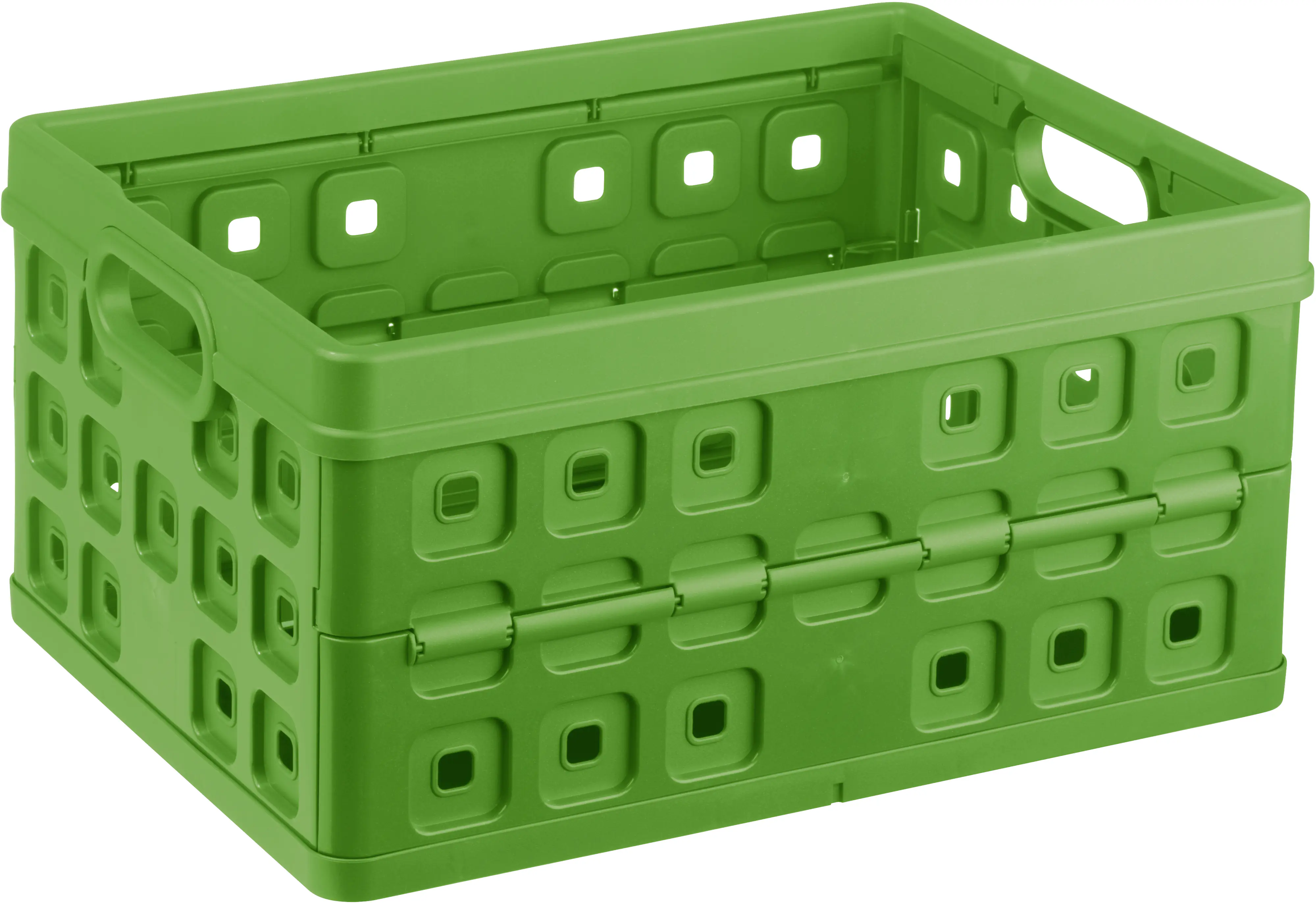 Sunware Klappbox Square 32L grün 49 x 36 x 24,5 cm