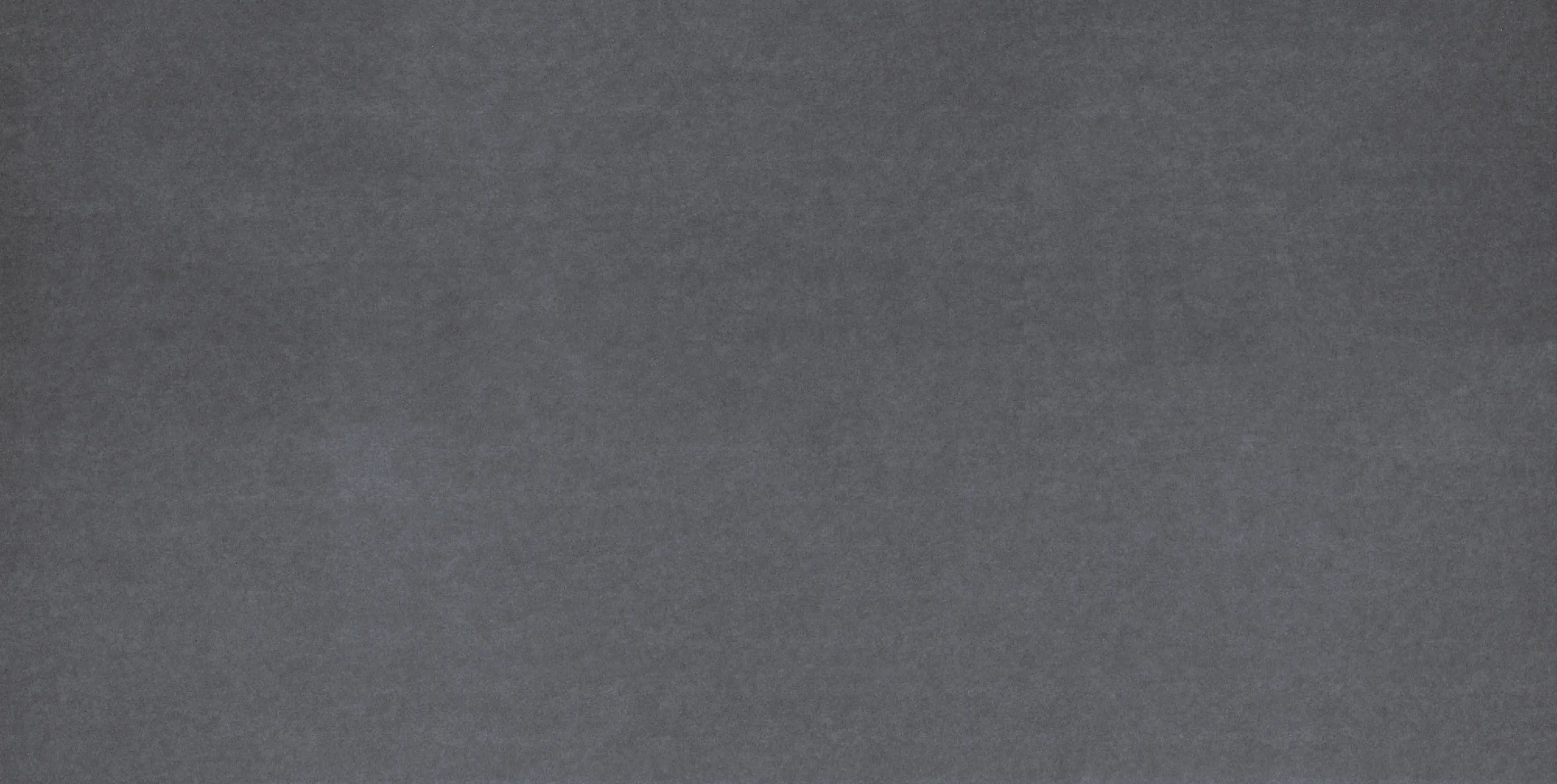 Bodenfliese Feinsteinzeug 2.0 Promo 31 x 62 cm anthrazit