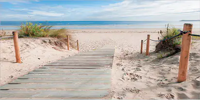 Deco-Canvas Bild - Dünenweg zum Strand 90 x 45 cm