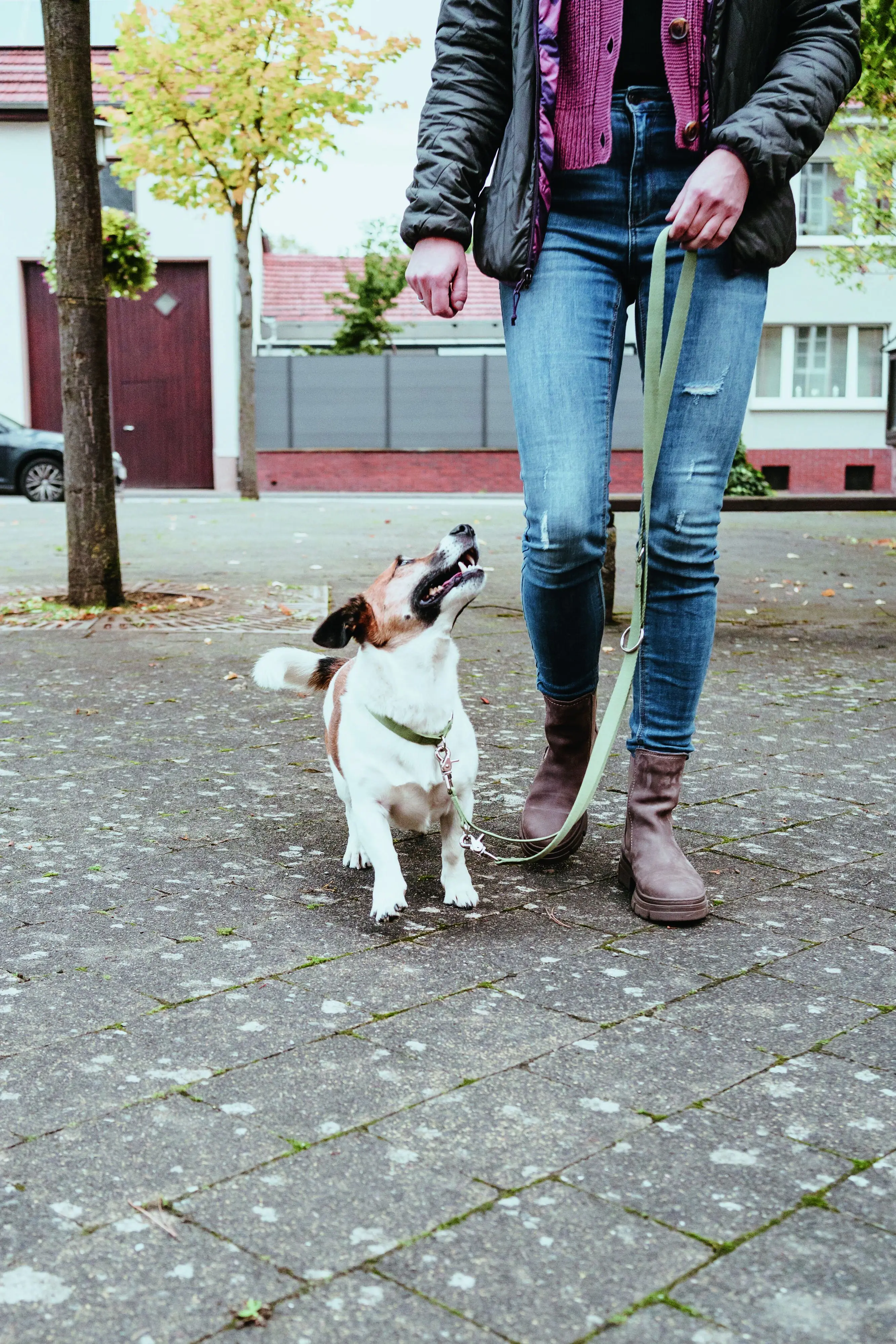 Hunter Hundehalsband Inari Alu-Strong L lindgrün
