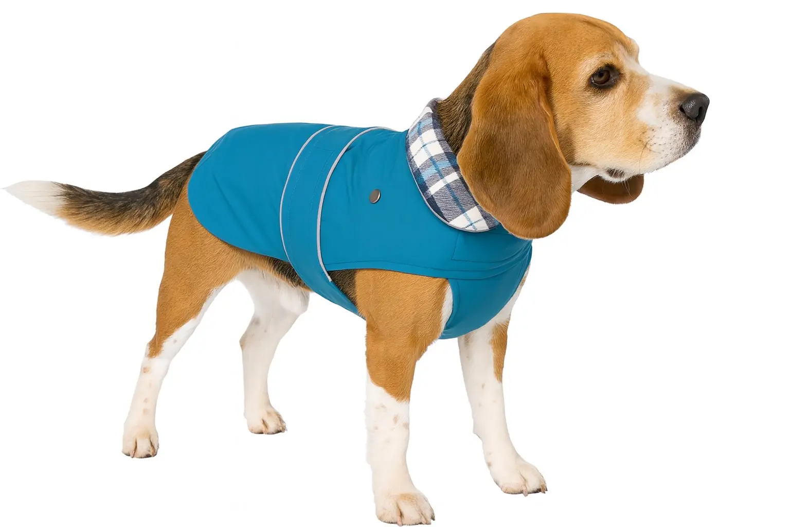 Nobby Hundemantel Sela Rückenlänge 44 cm, petrol