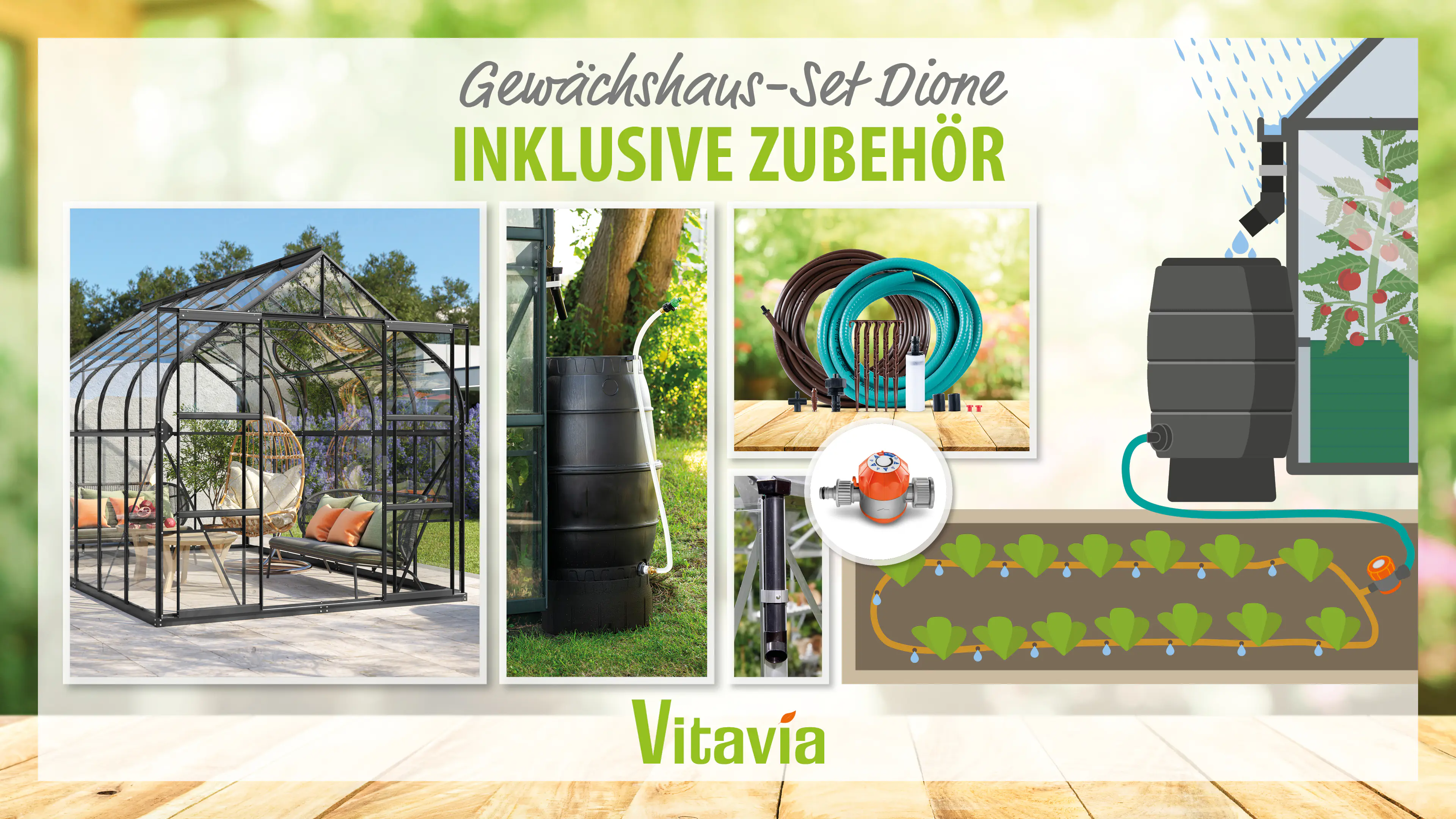 Vitavia Gewächshaus-Set Dione 9900 ESG 3 mm schwarz 254 x 379 cm 